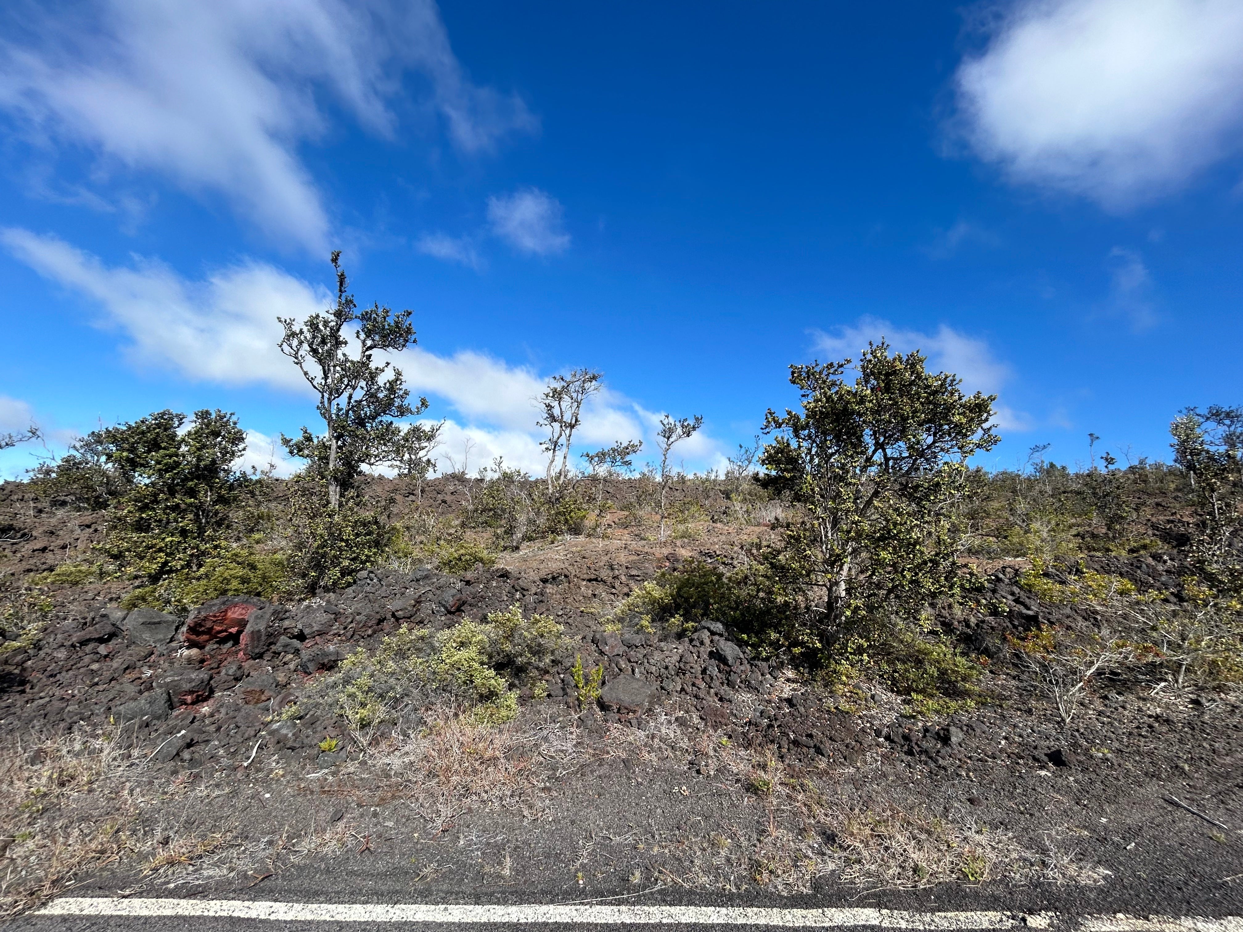 Photo of Listing #726634