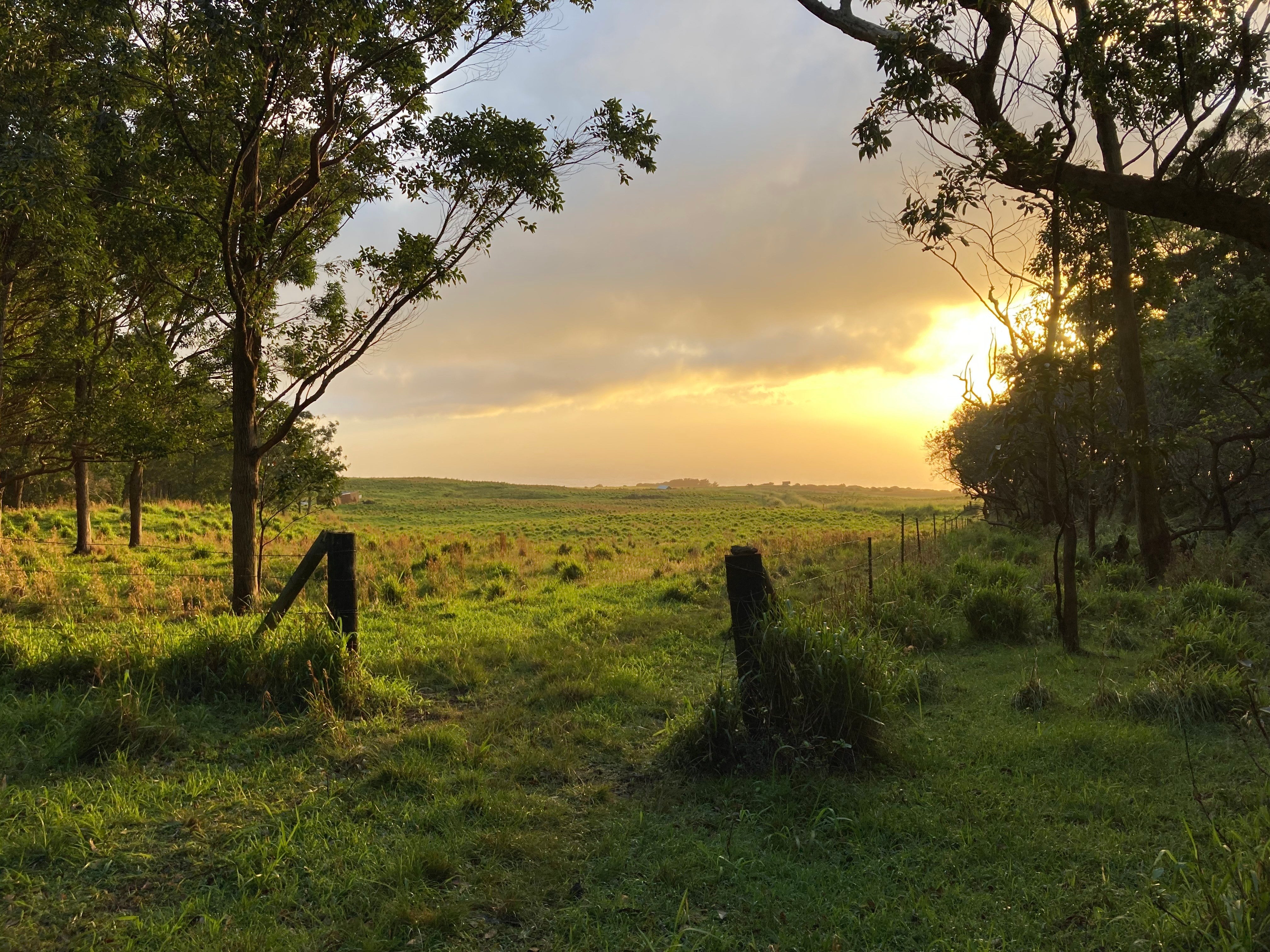 Photo of Listing #726684