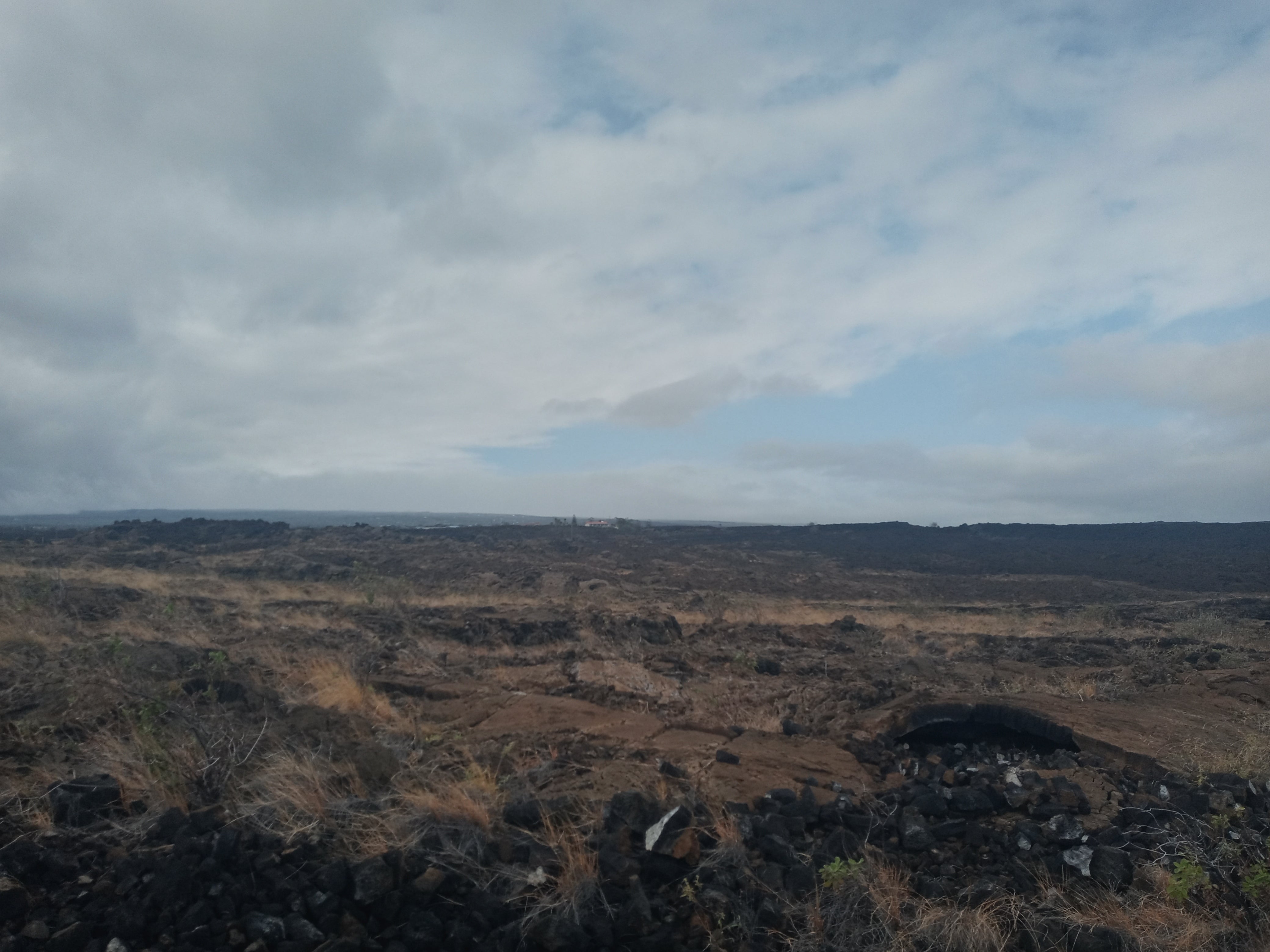 Photo of Listing #726703