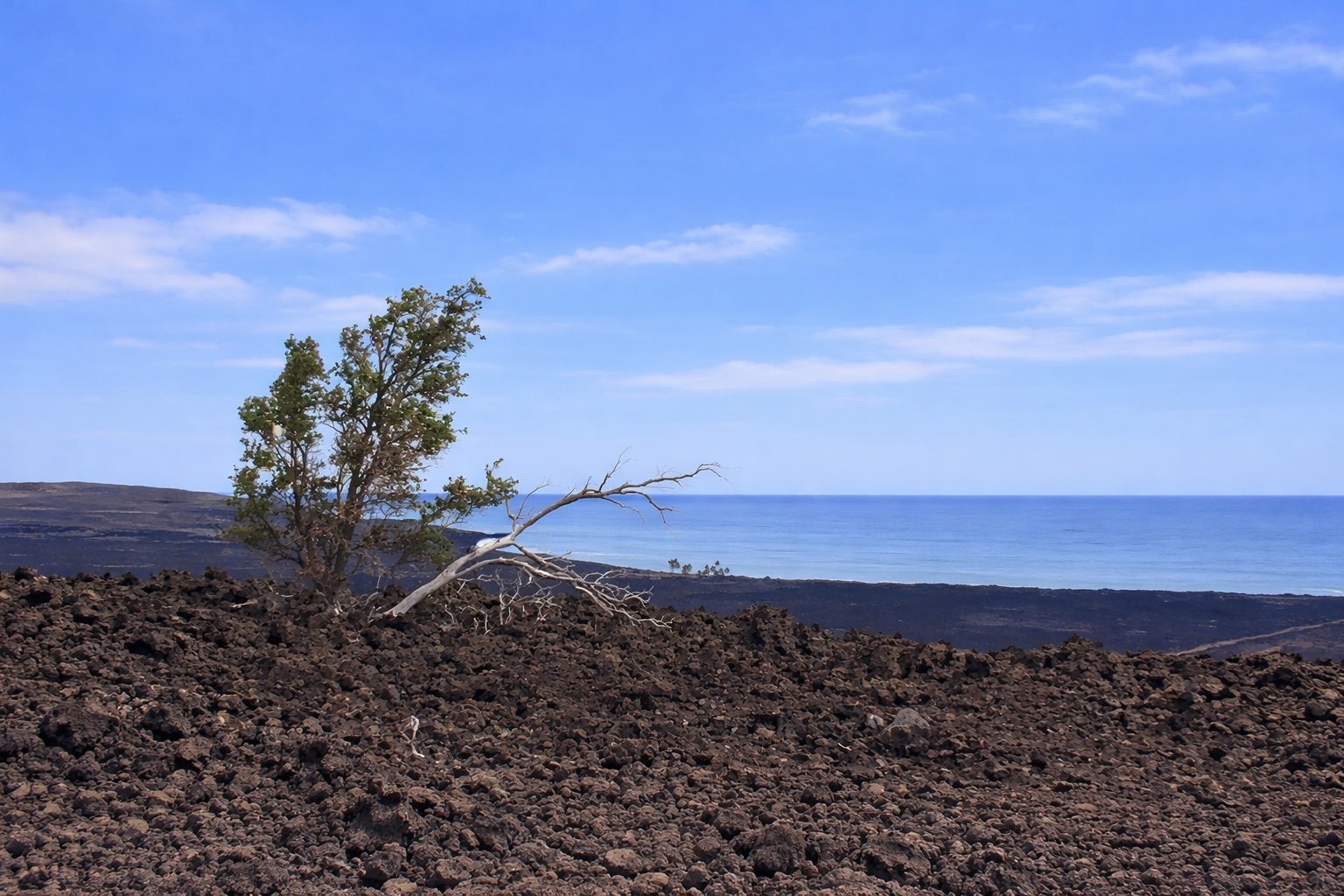 Photo of Listing #726830