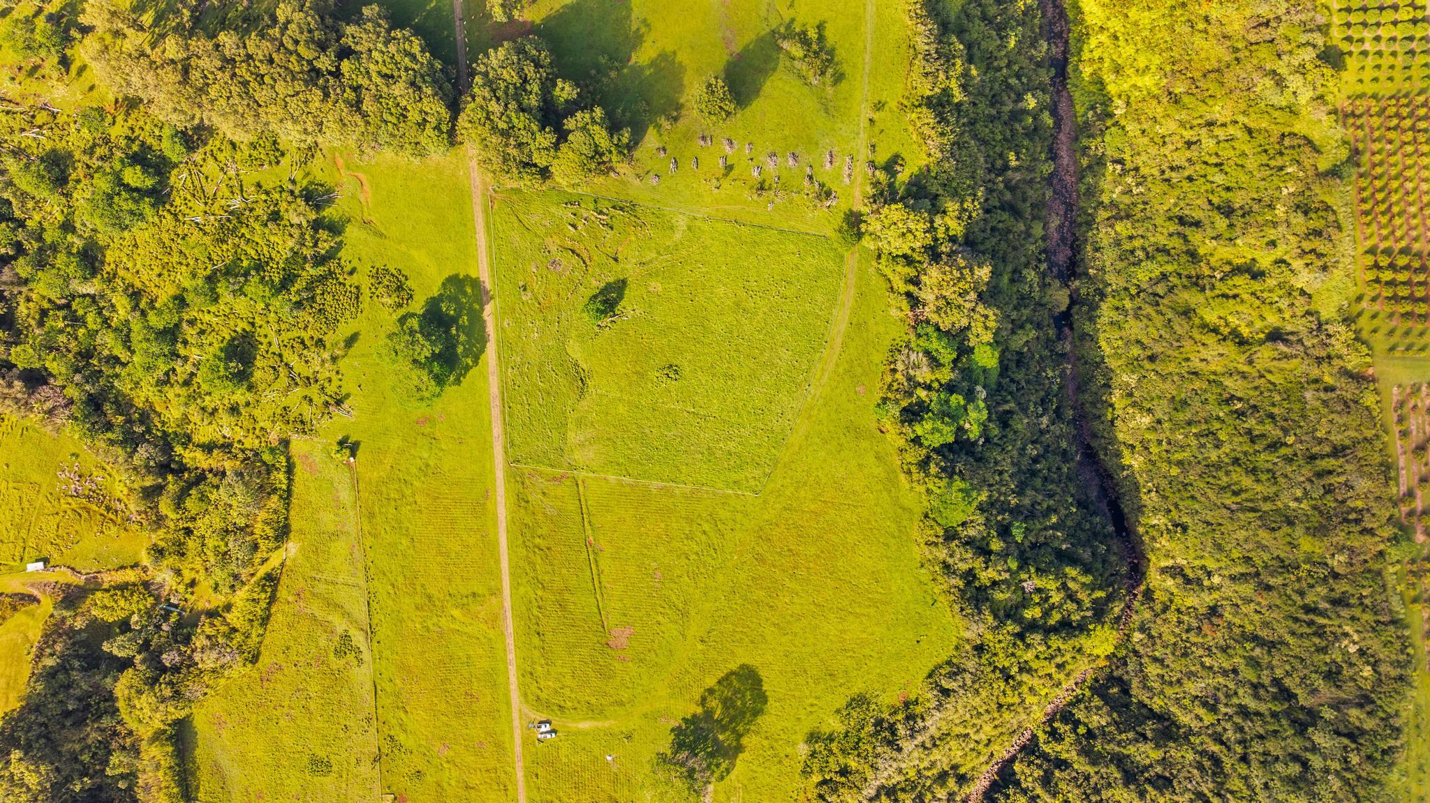 Photo of Listing #726876