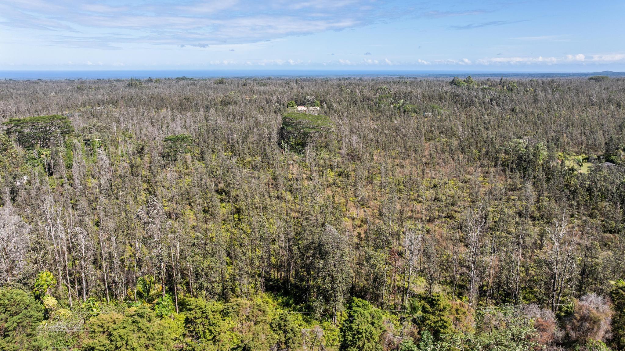 Photo of Listing #726895