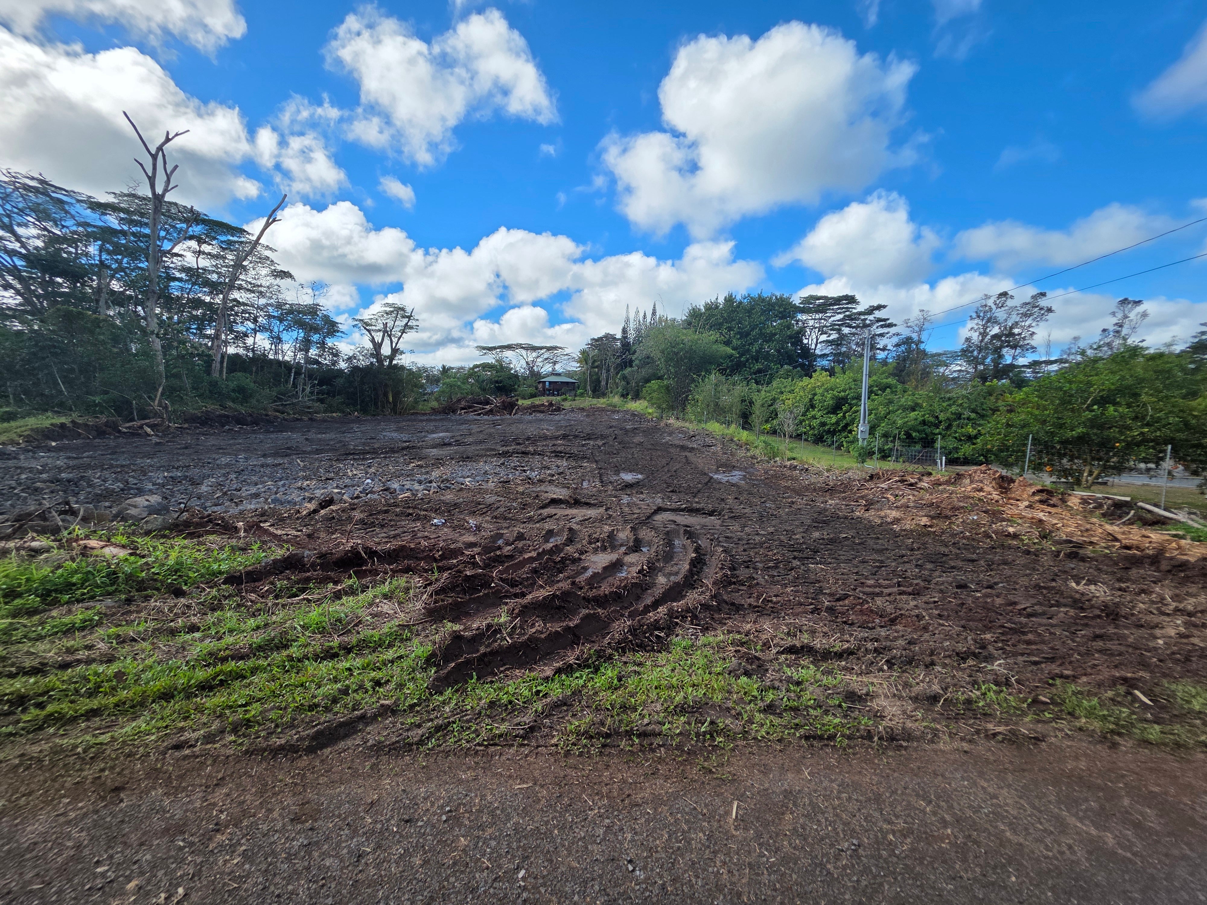 Photo of Listing #726921