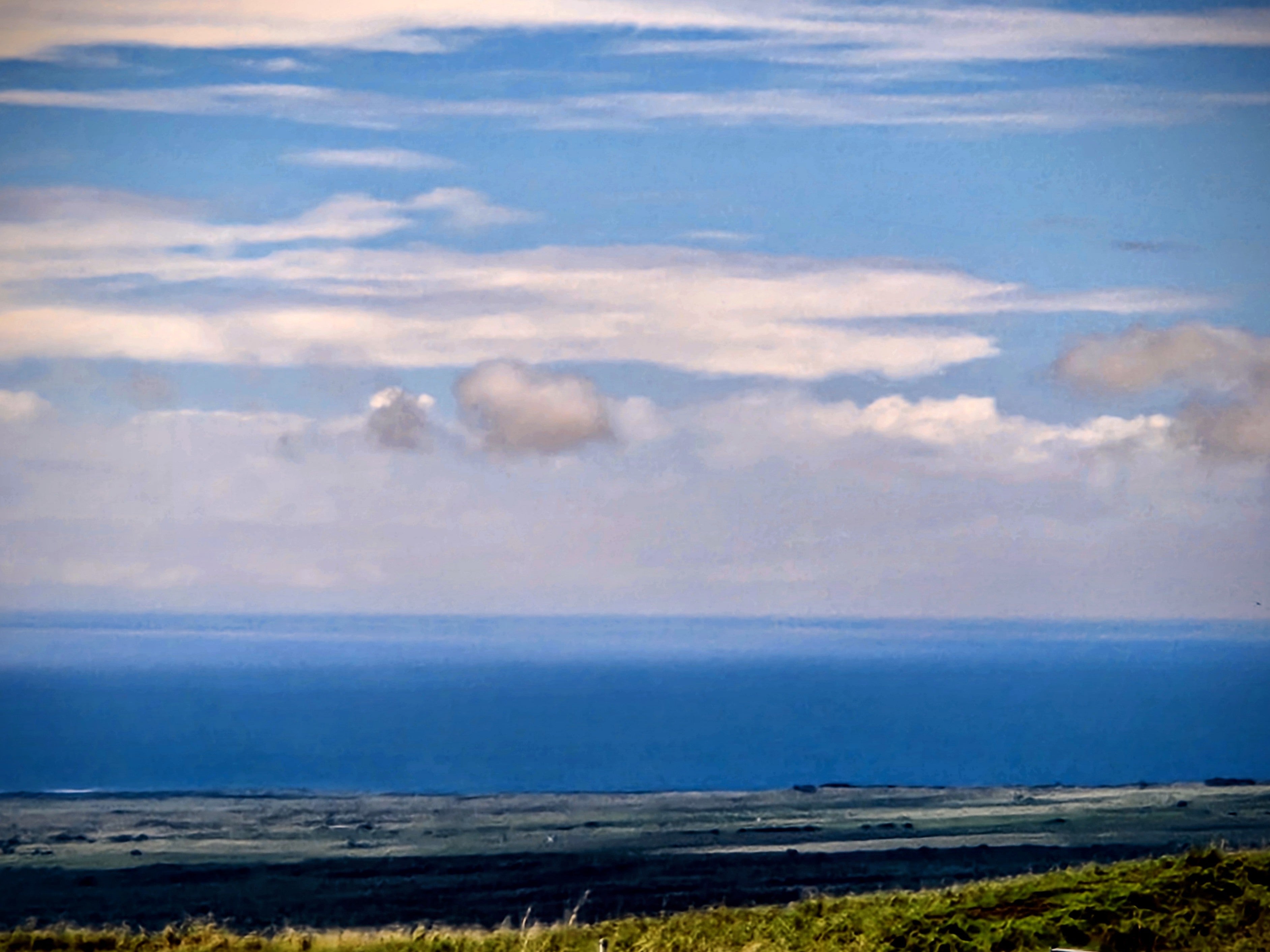 Photo of Listing #726956