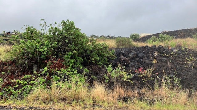 Photo of Listing #727056