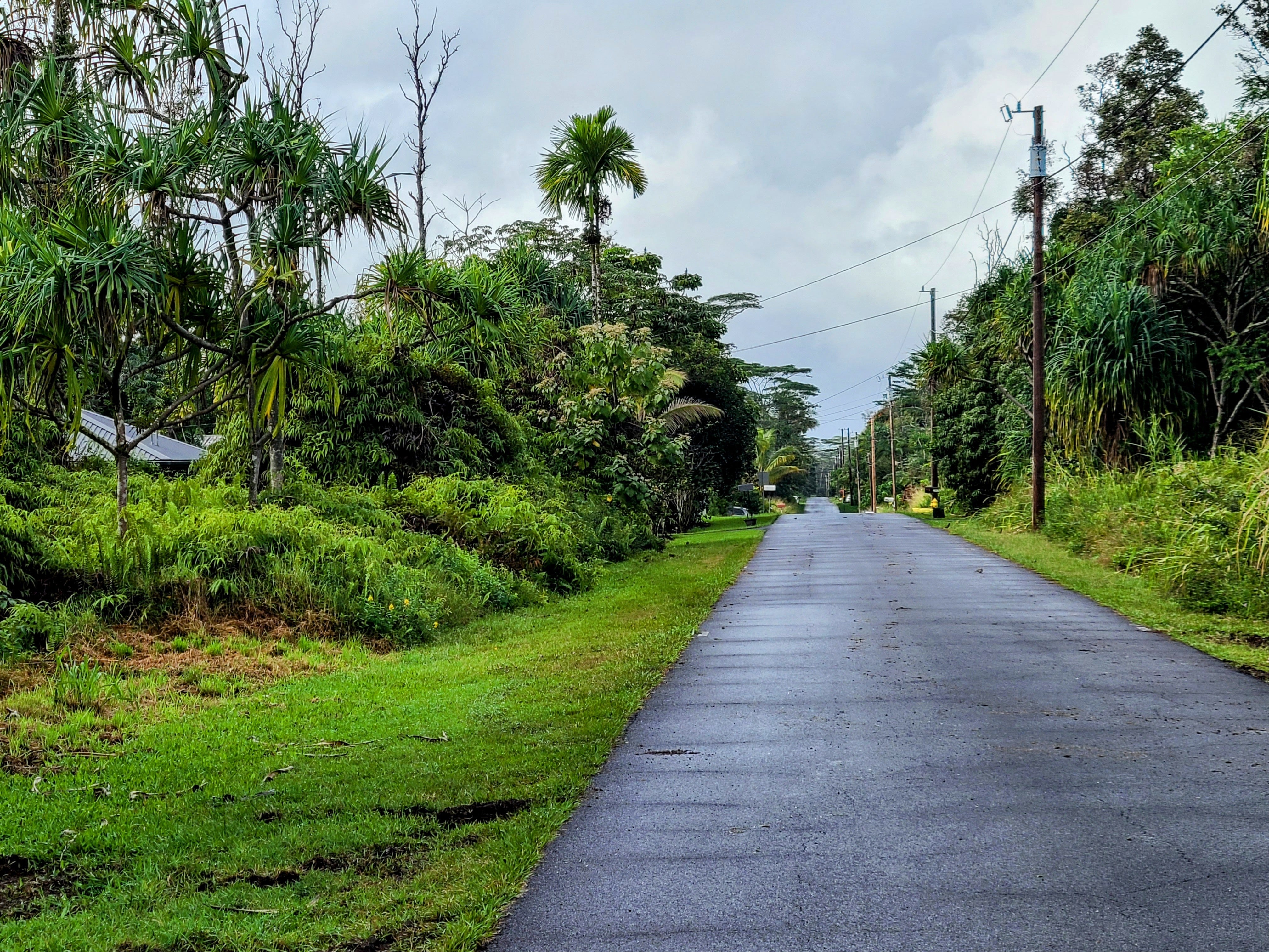 Photo of Listing #727087