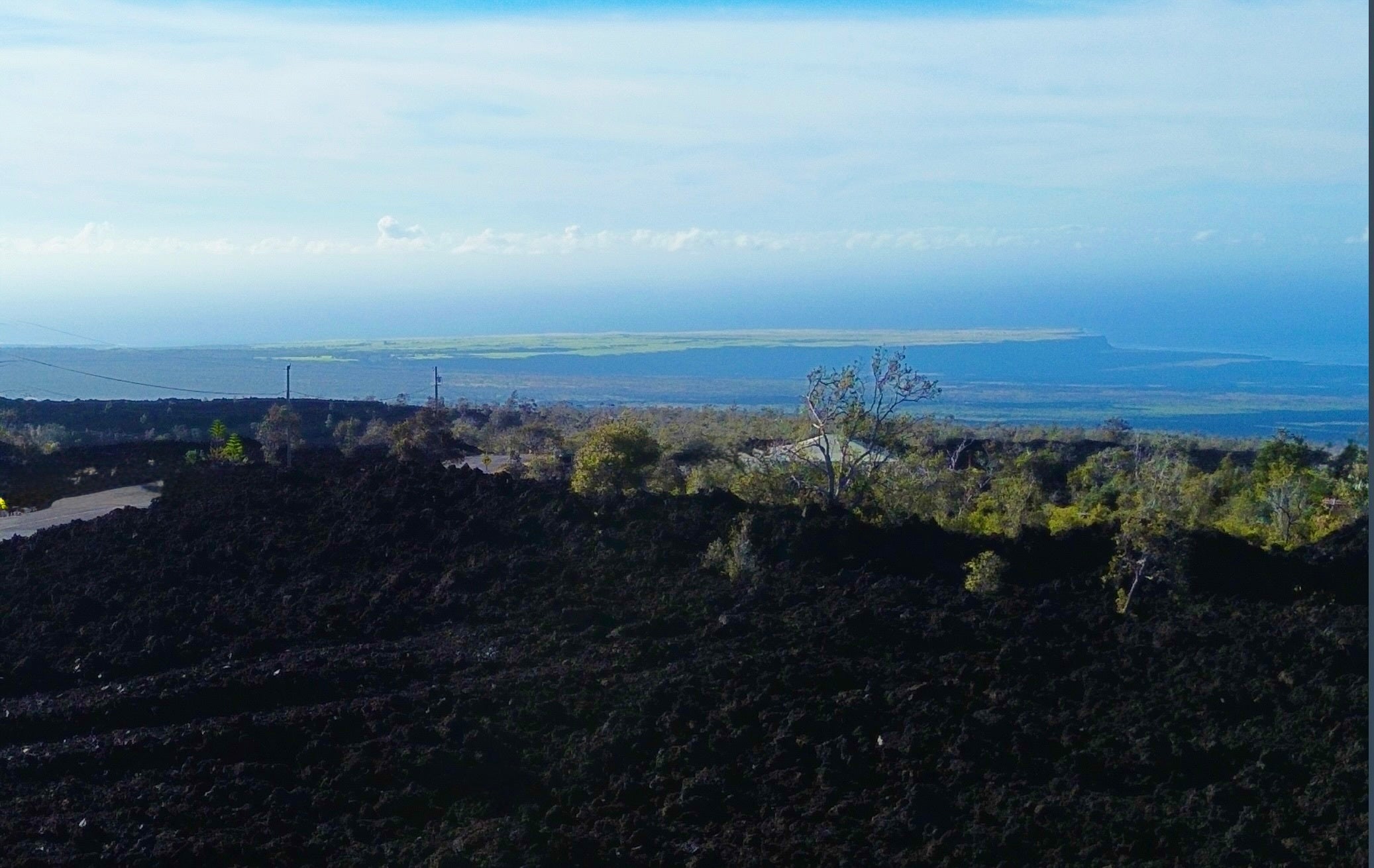 Photo of Listing #727117