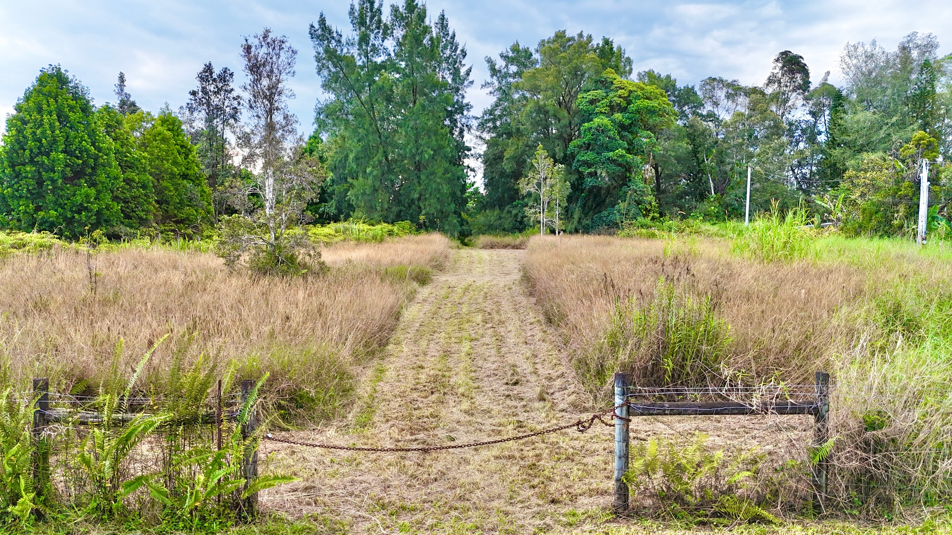 Photo of Listing #727132