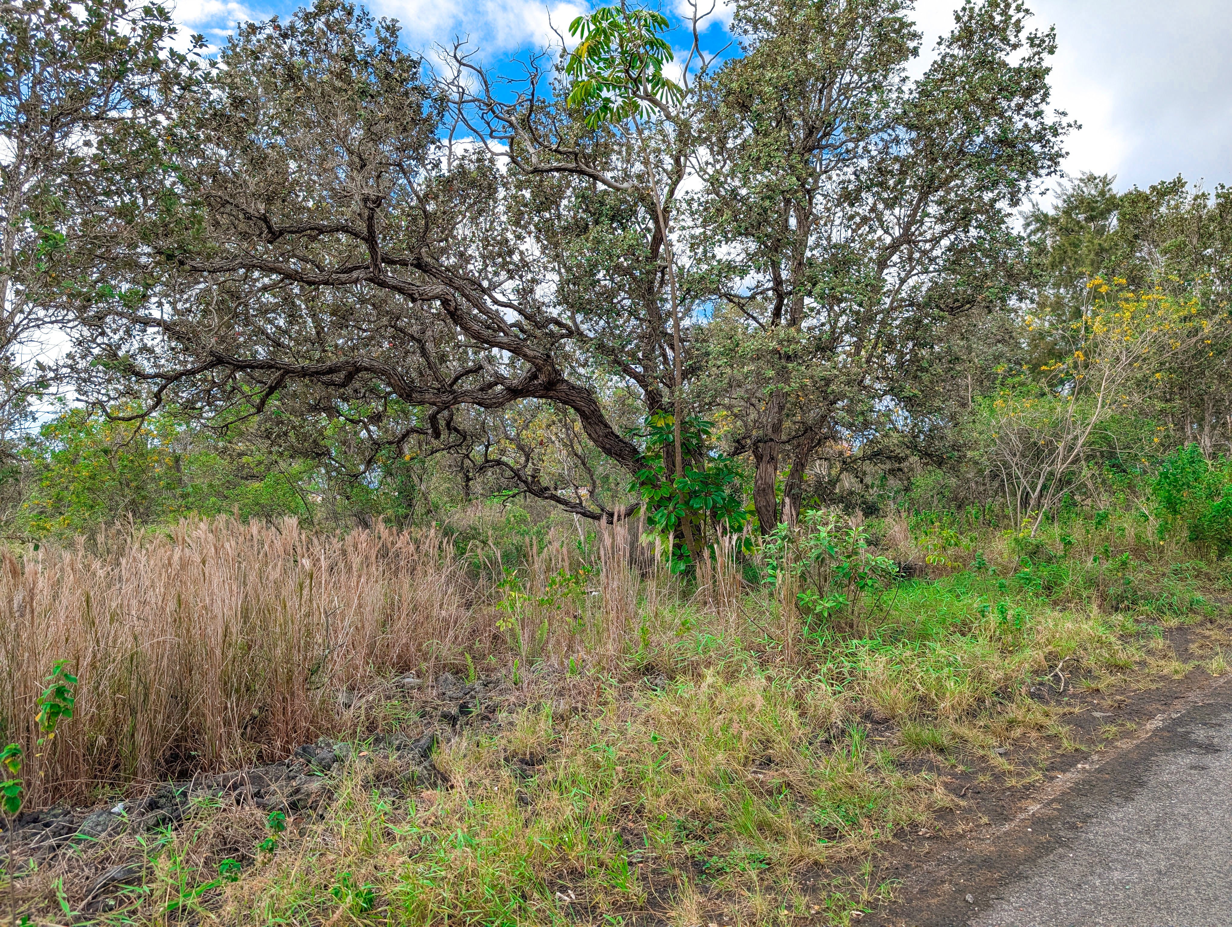 Photo of Listing #727142