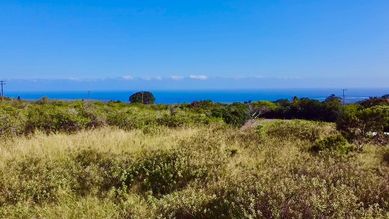 Photo of Listing #727250