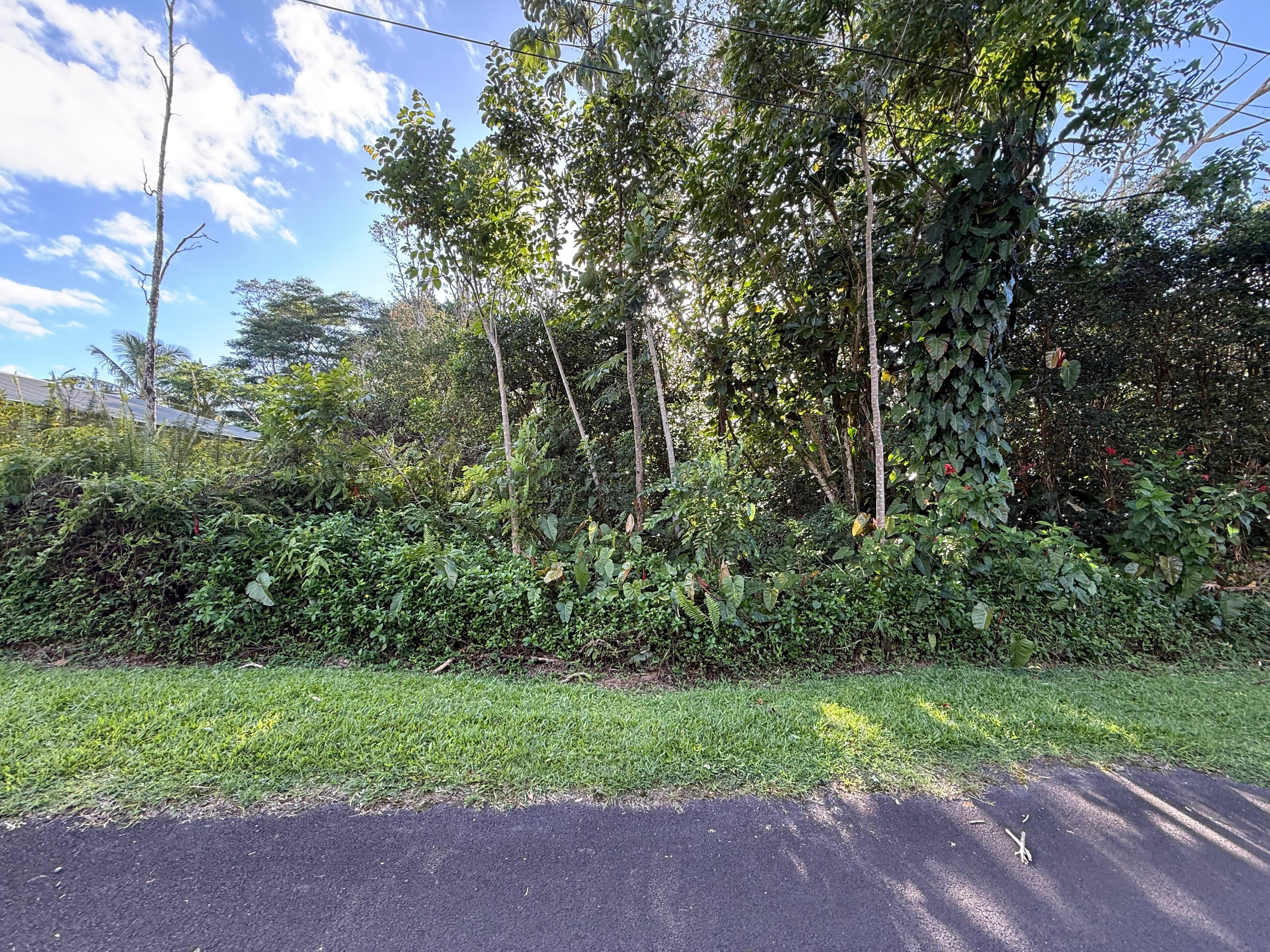 Photo of Listing #727311