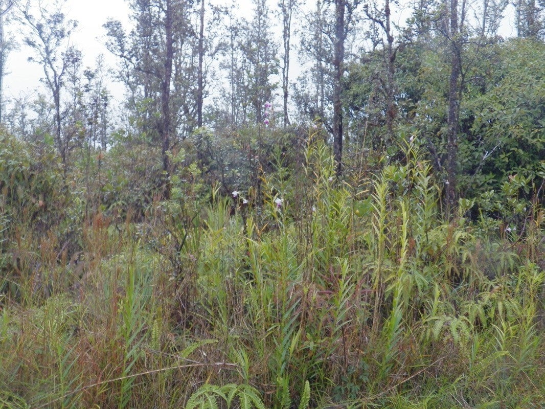 Photo of Listing #727348