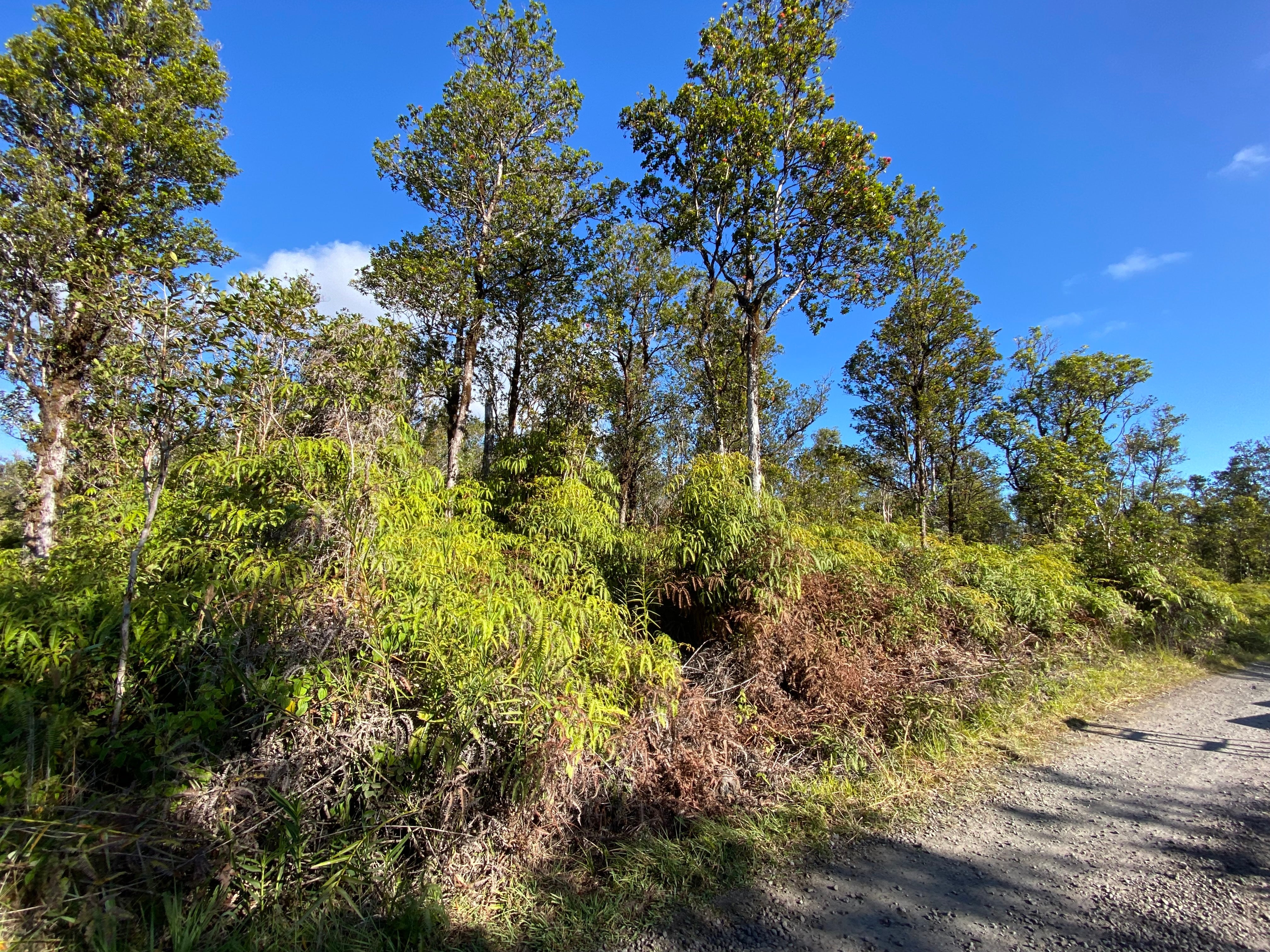 Photo of Listing #727370