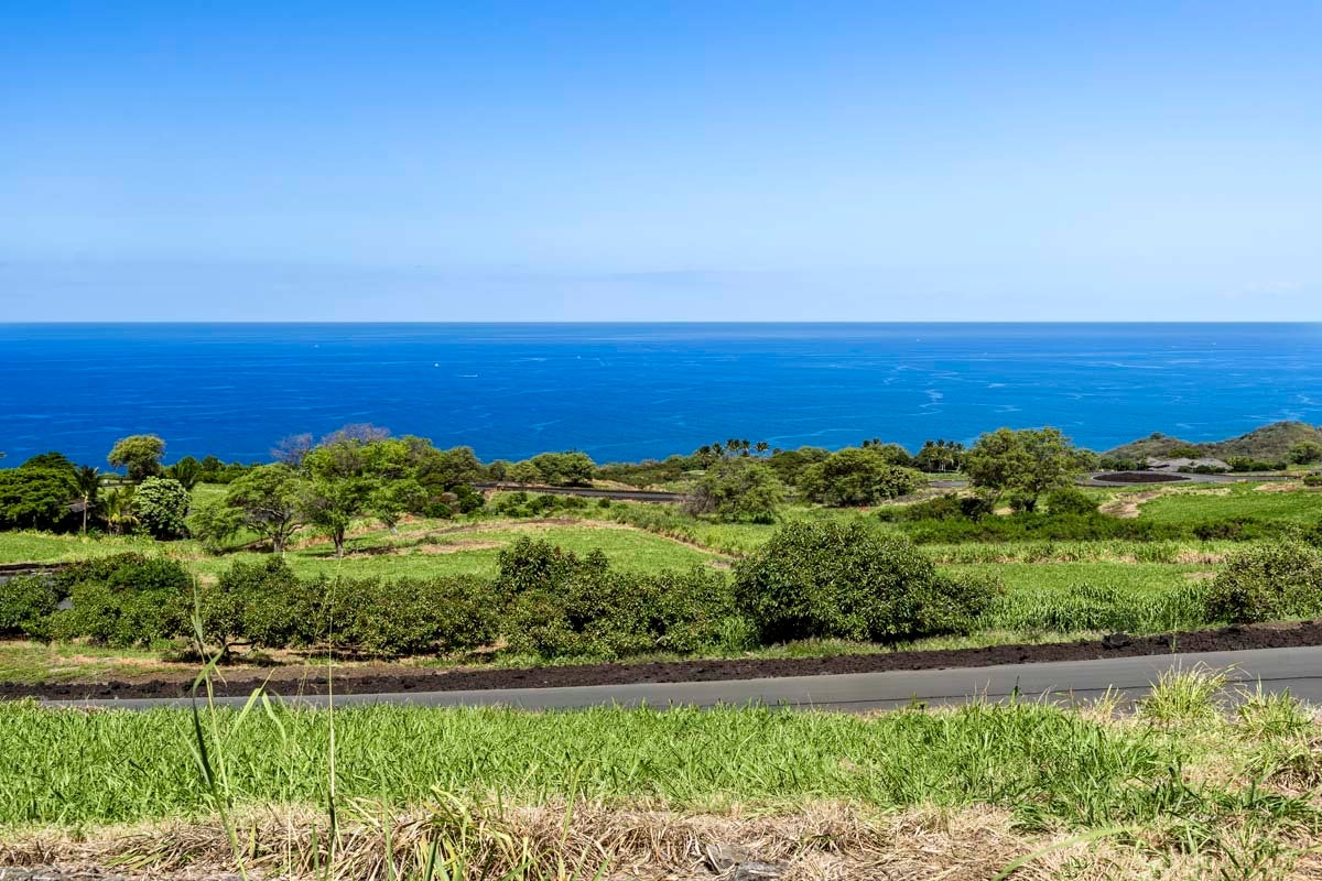 Photo of Listing #727503