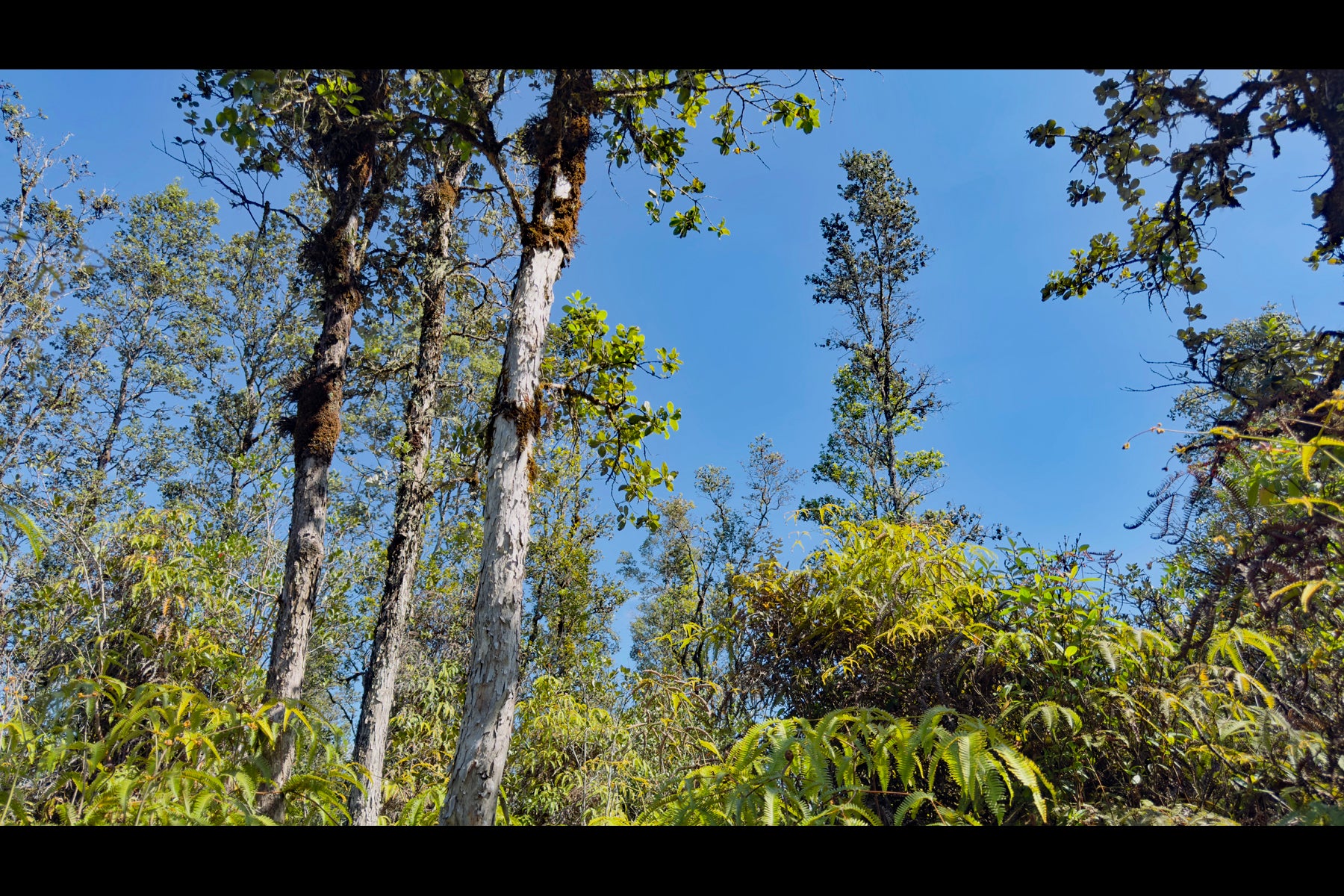 Photo of Listing #727520