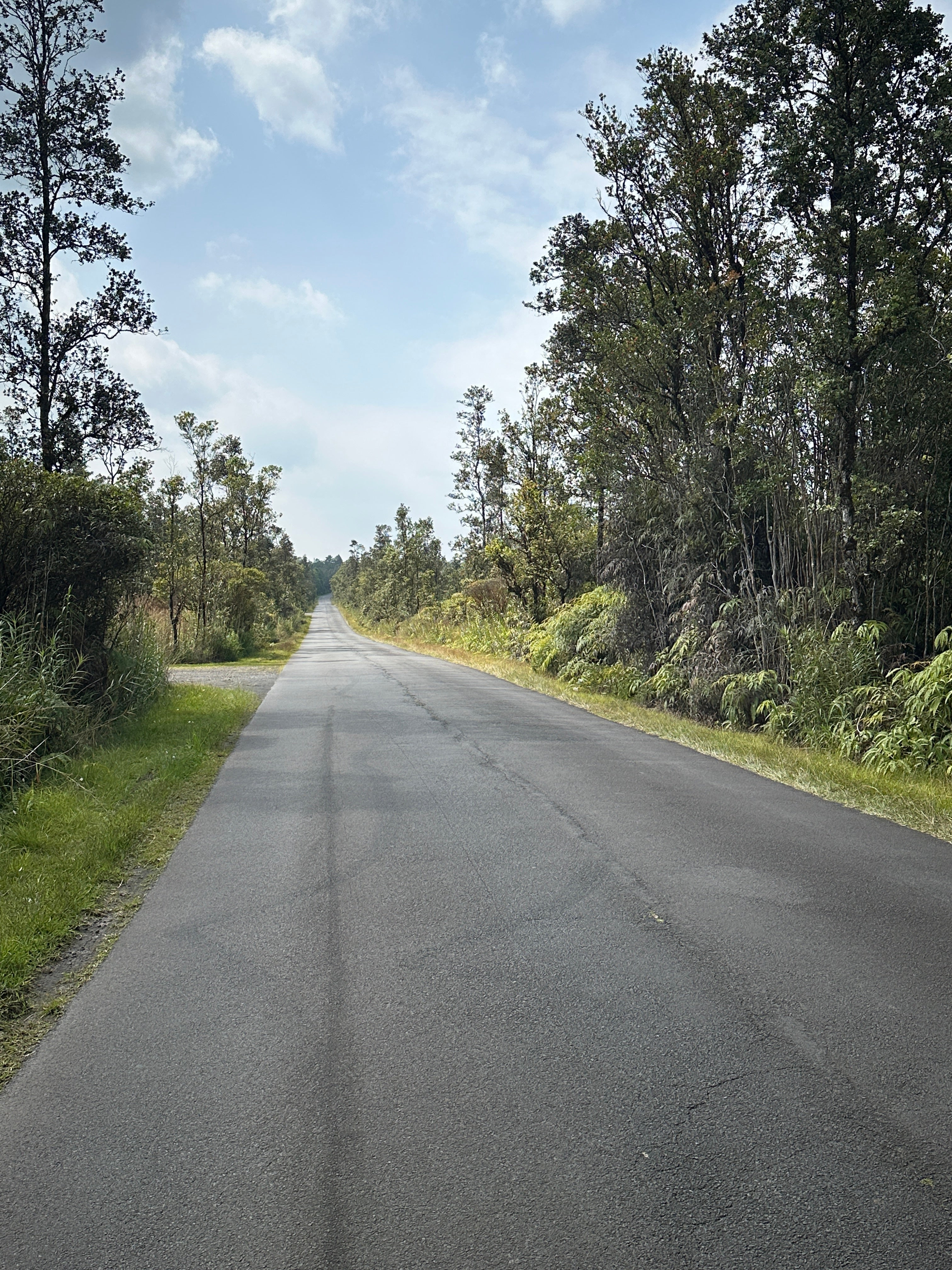 Photo of Listing #727591