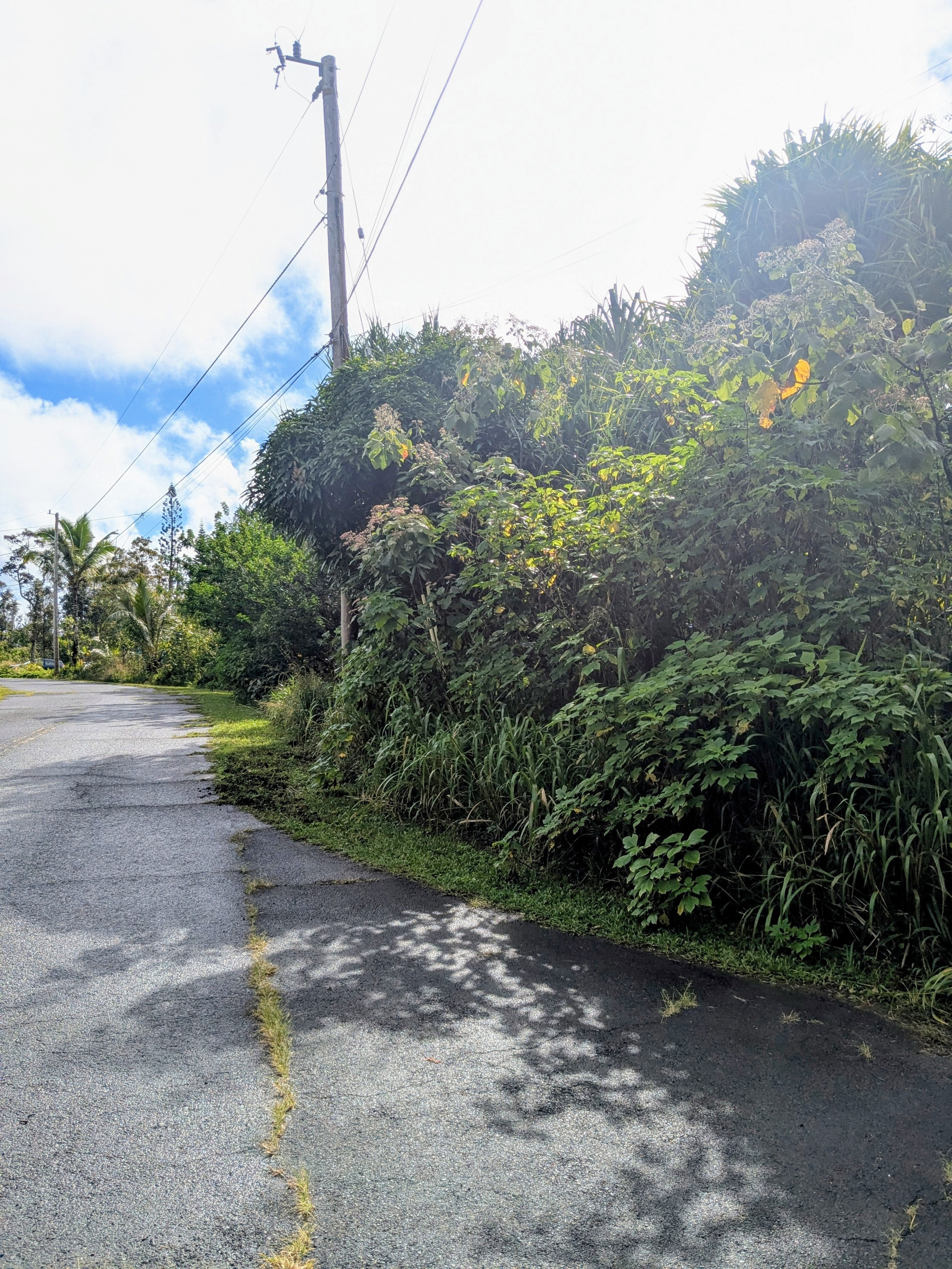 Photo of Listing #727643