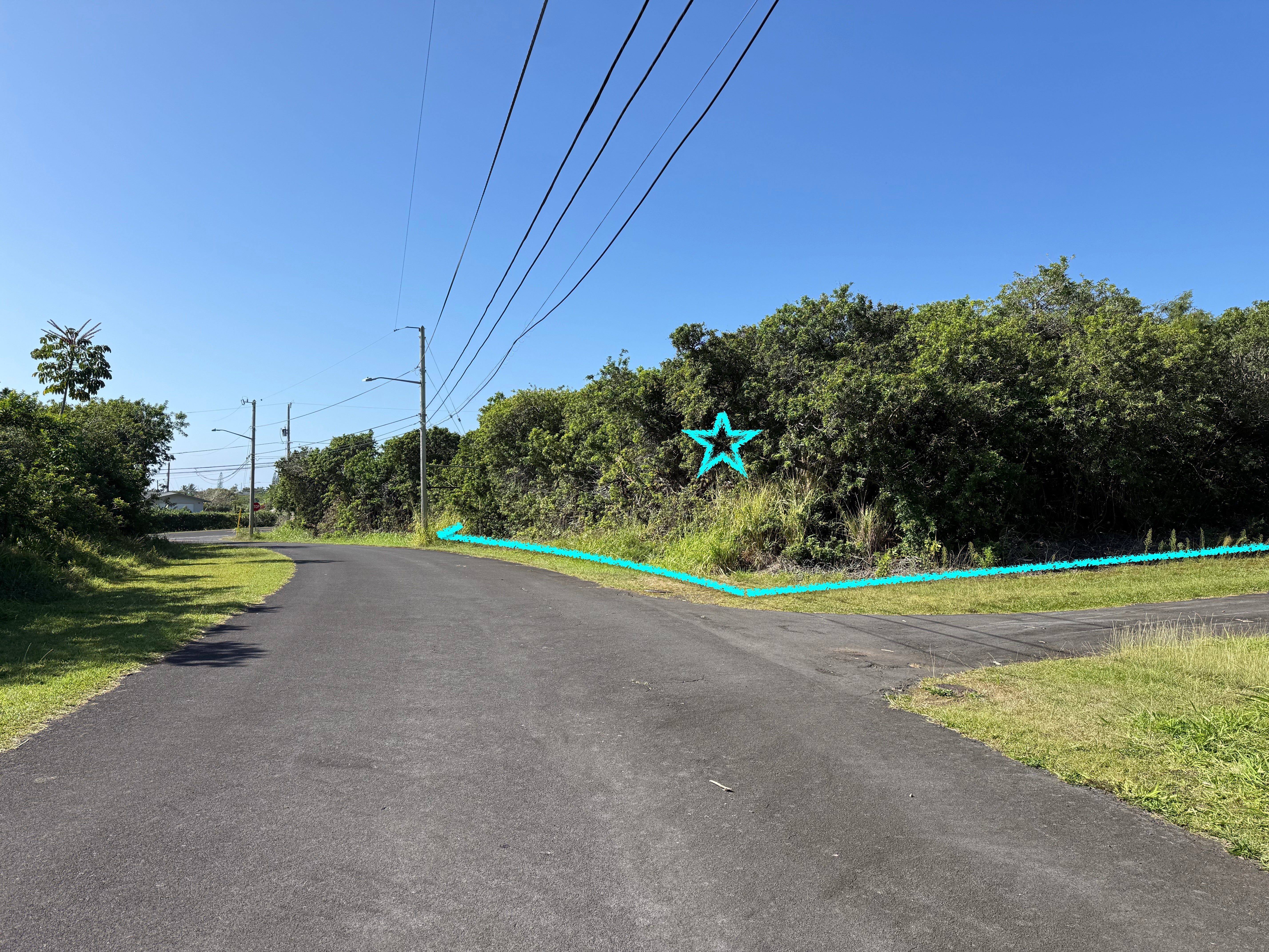 Photo of Listing #727741