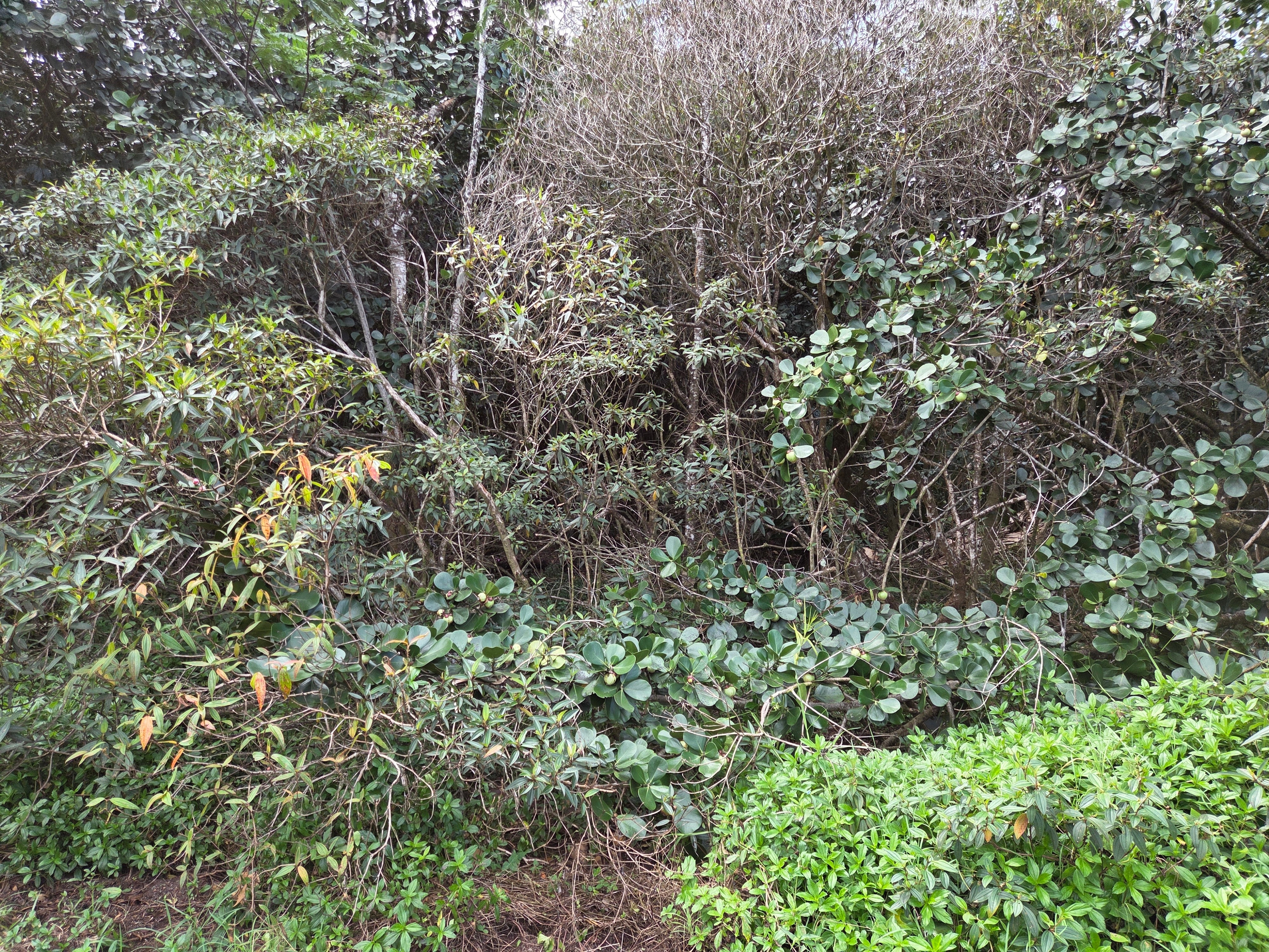 Photo of Listing #727798