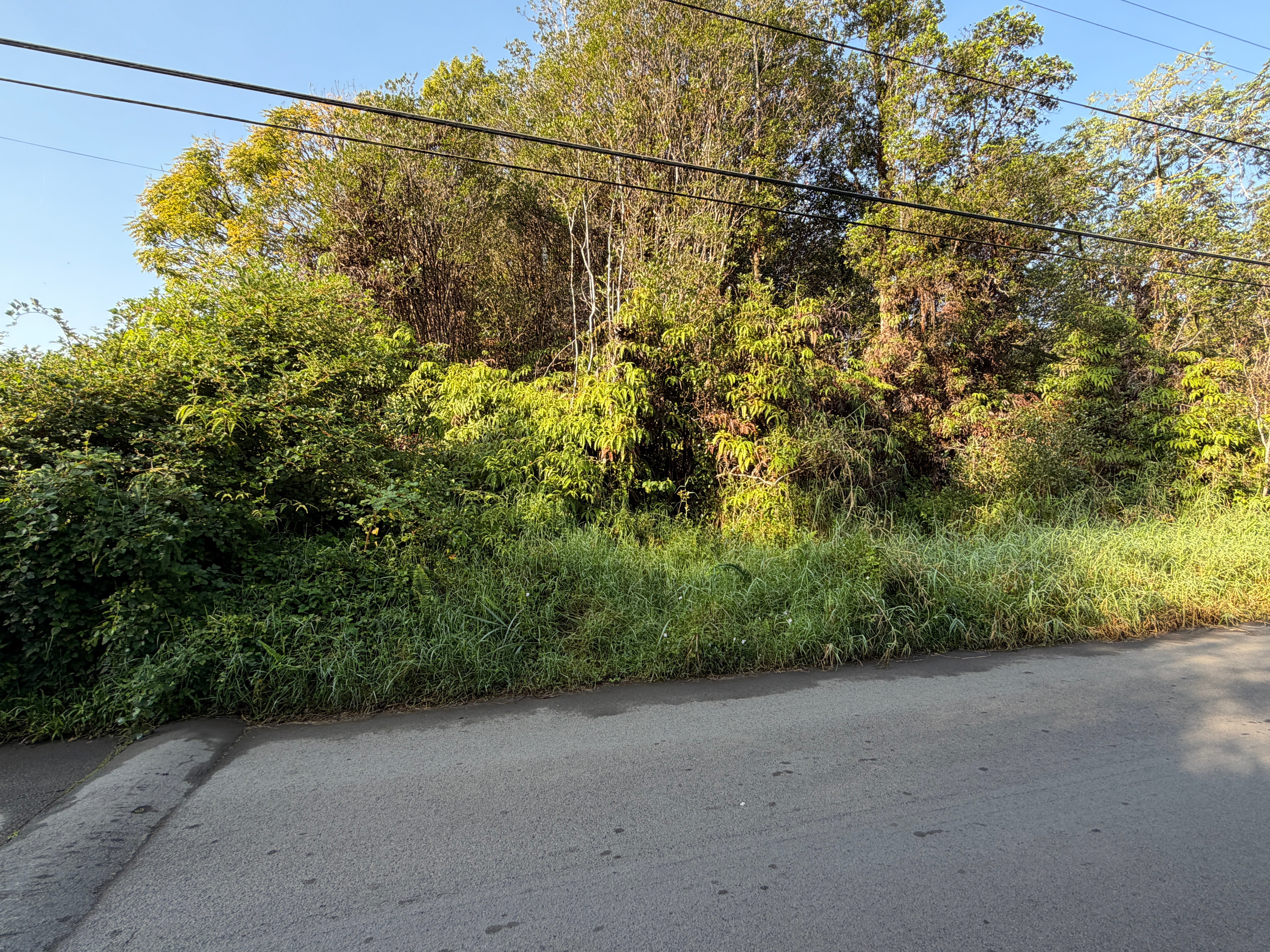 Photo of Listing #727815