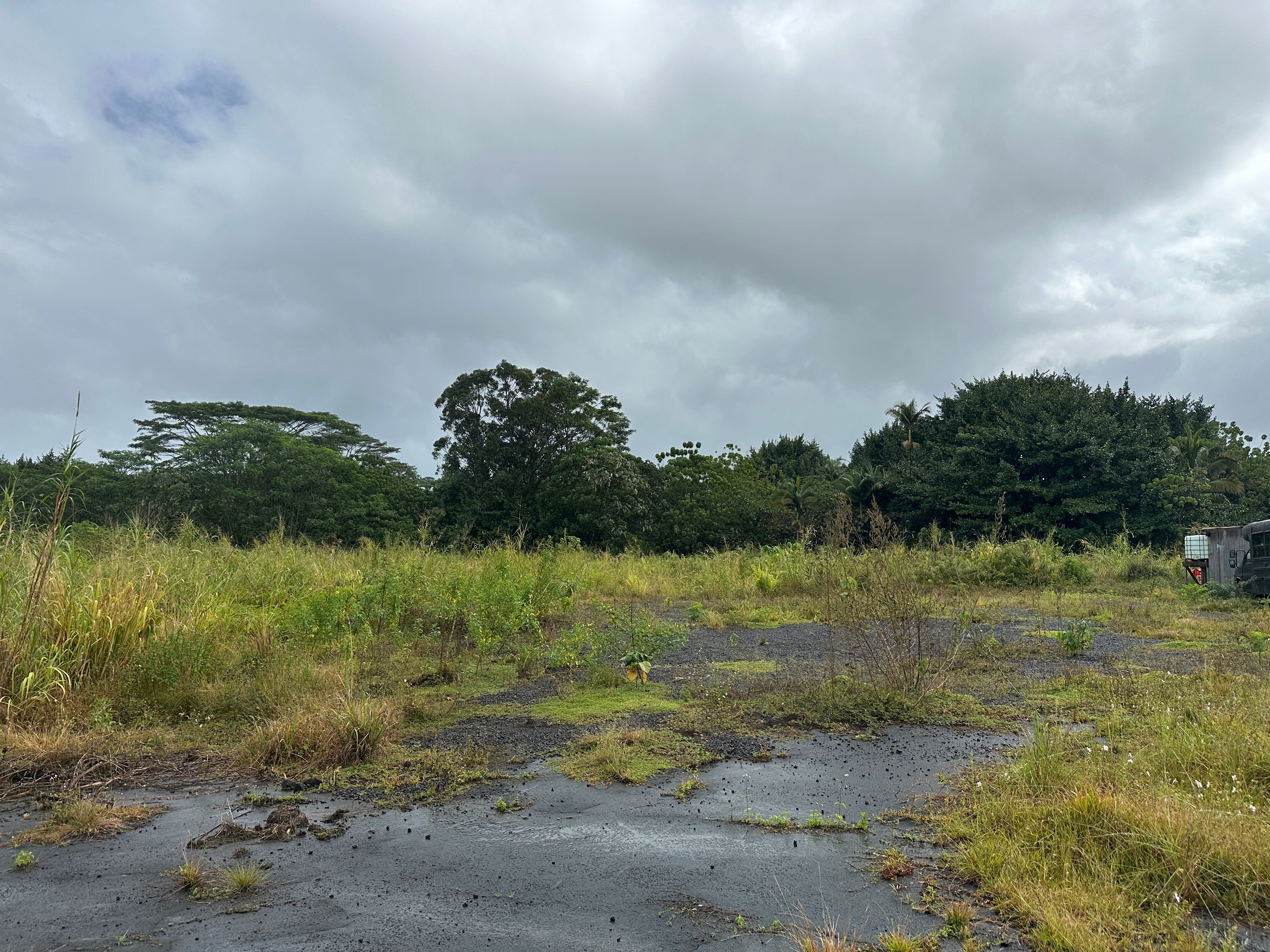 Photo of Listing #727824