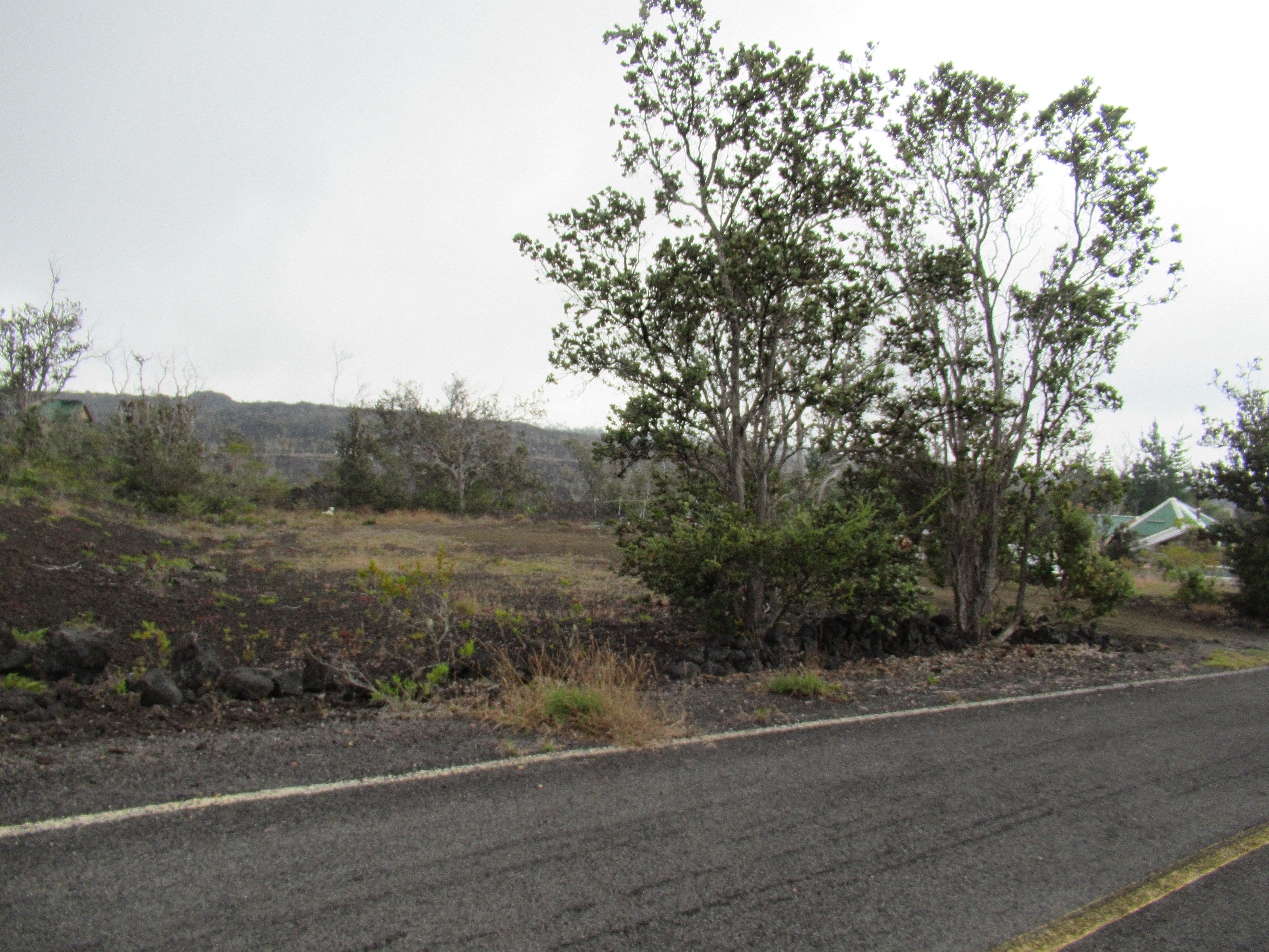 Photo of Listing #727859