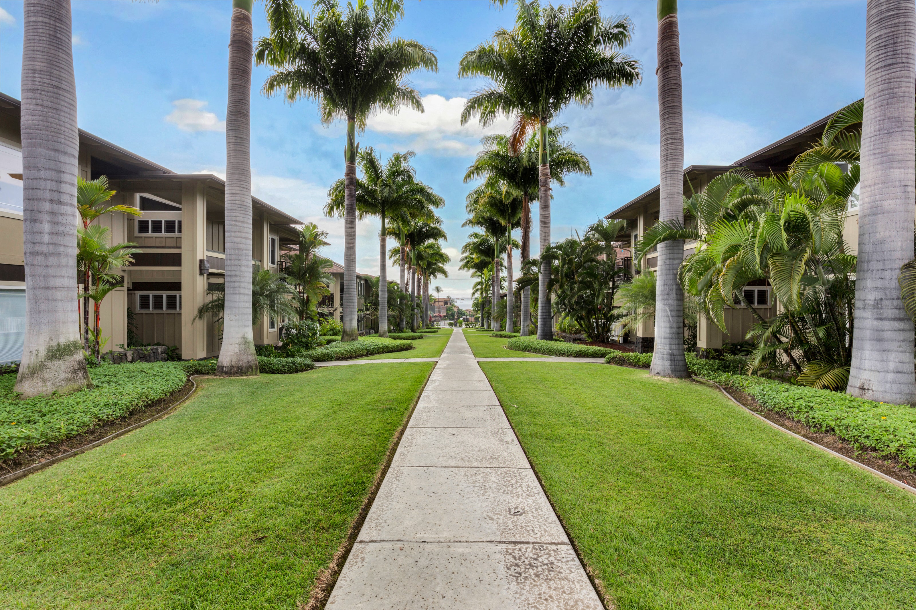 Photo of Listing #715156