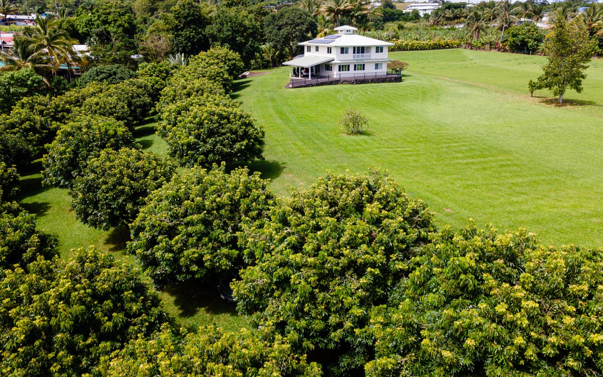 Photo of Listing #715205