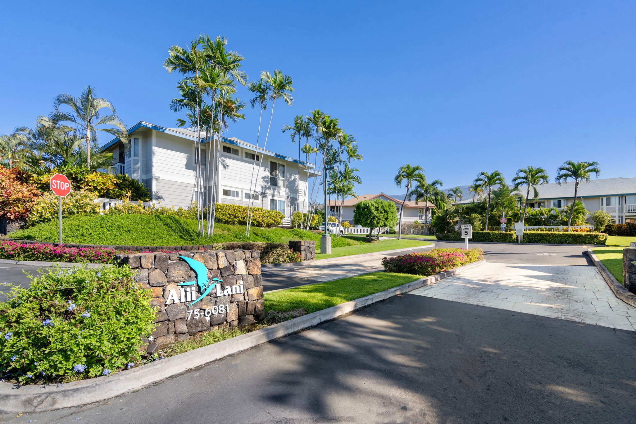 Photo of Listing #716280