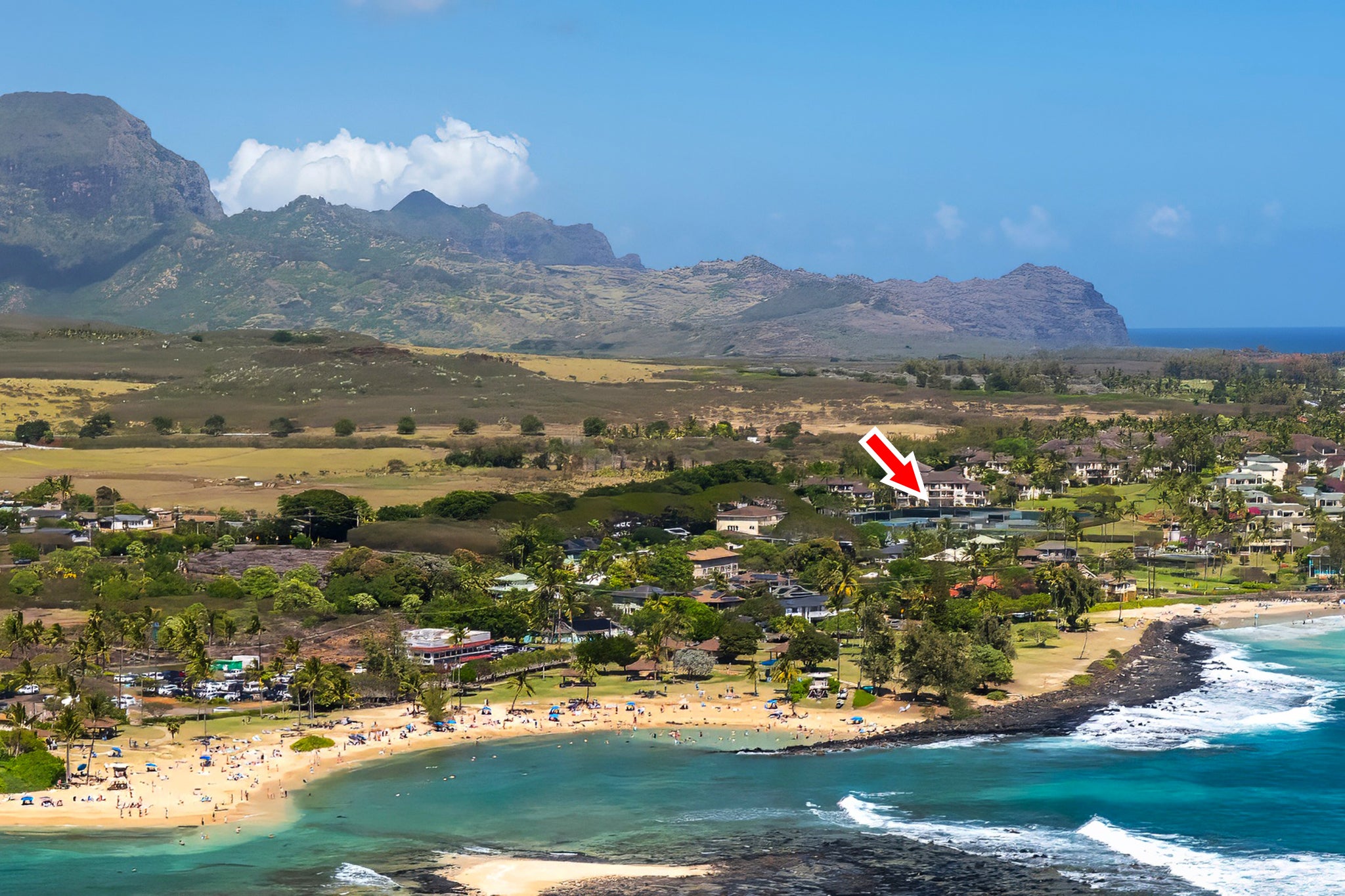 Photo of Listing #719357