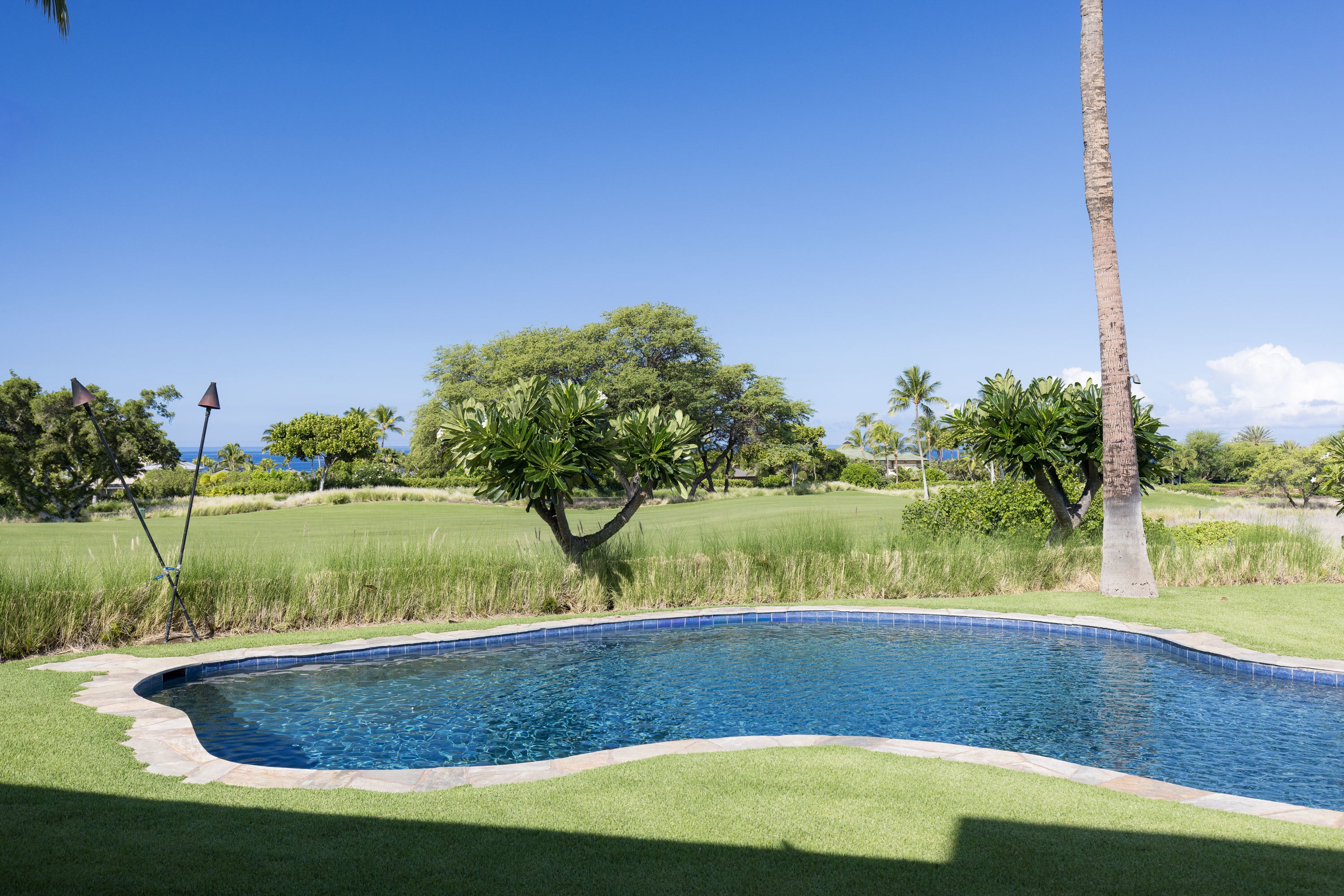 Photo of Listing #720772