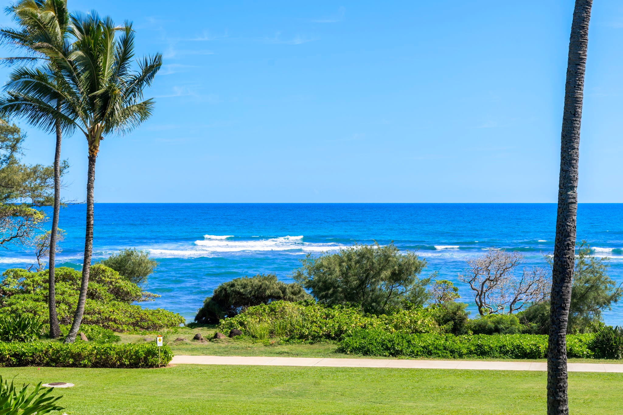 Photo of Listing #721406