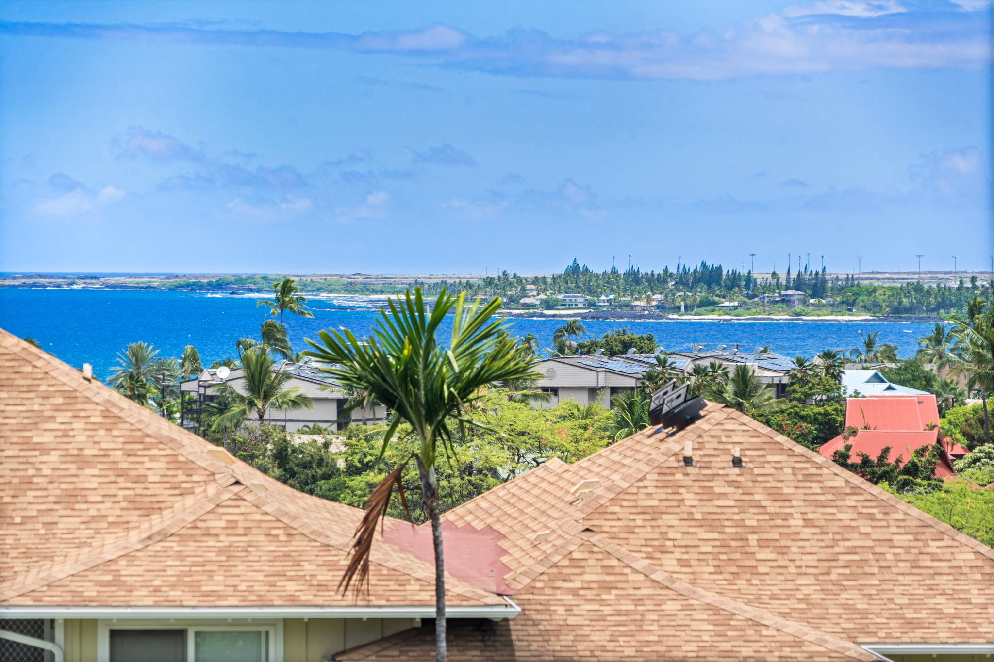 Photo of Listing #721522