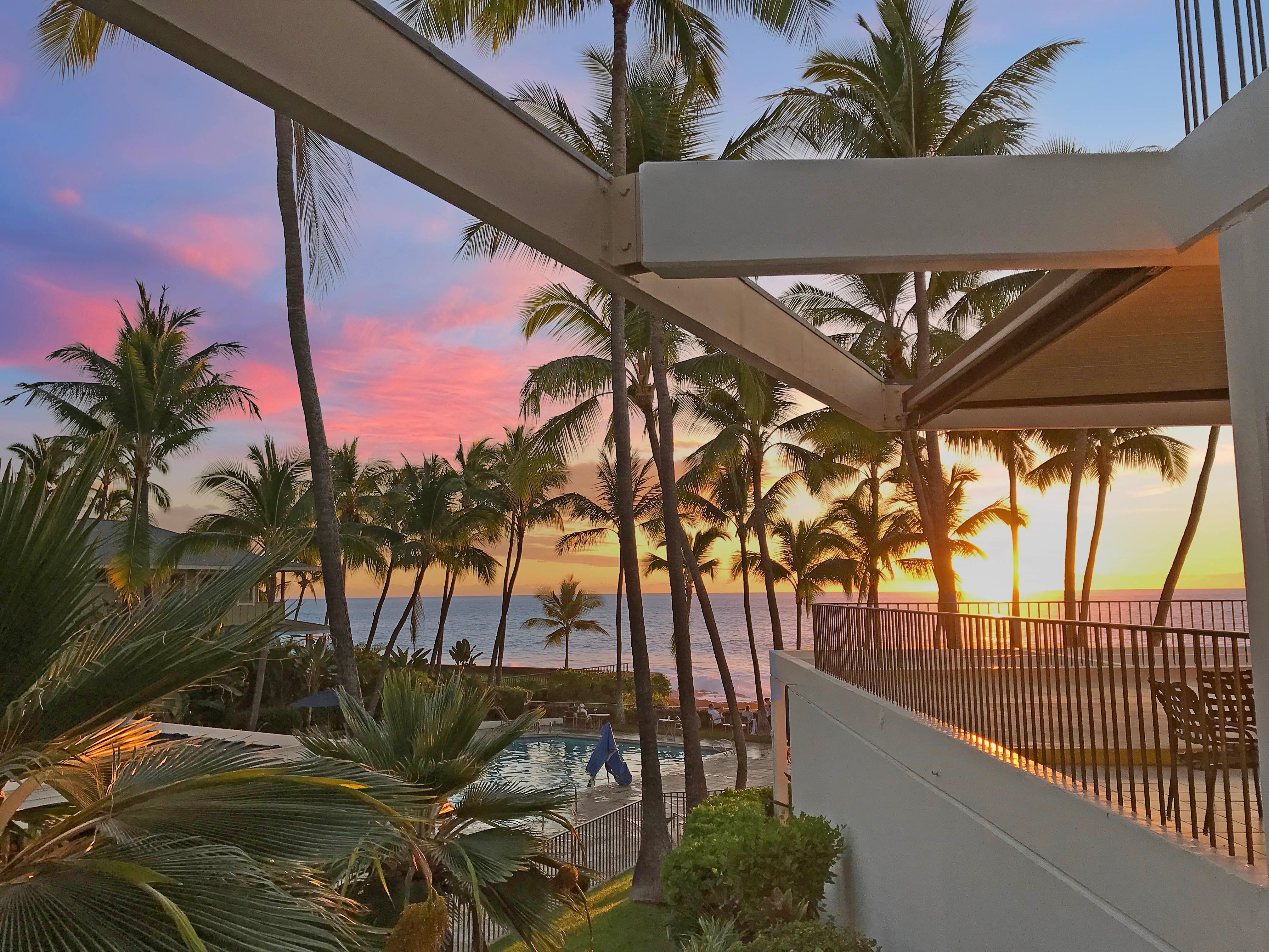 Photo of Listing #721651