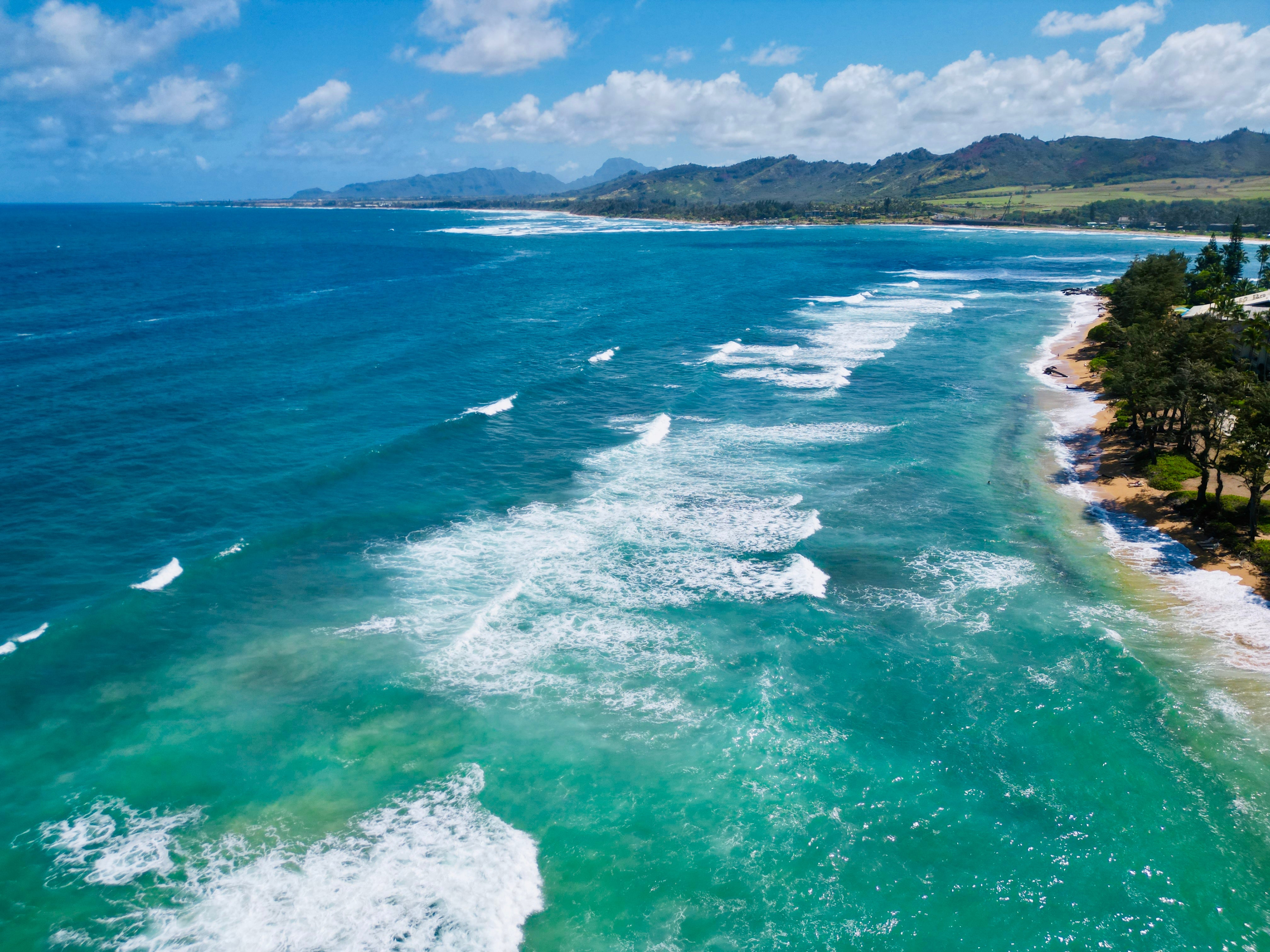 Photo of Listing #722546