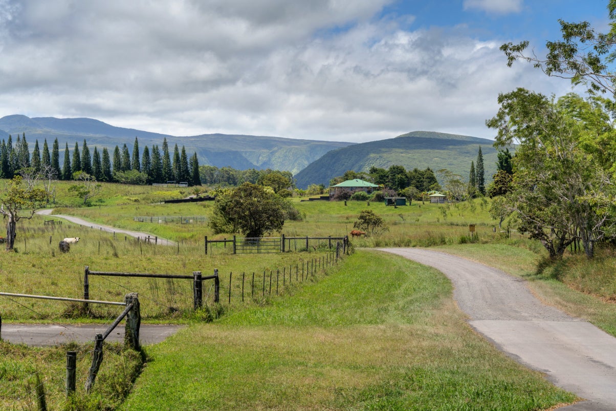 Photo of Listing #723574