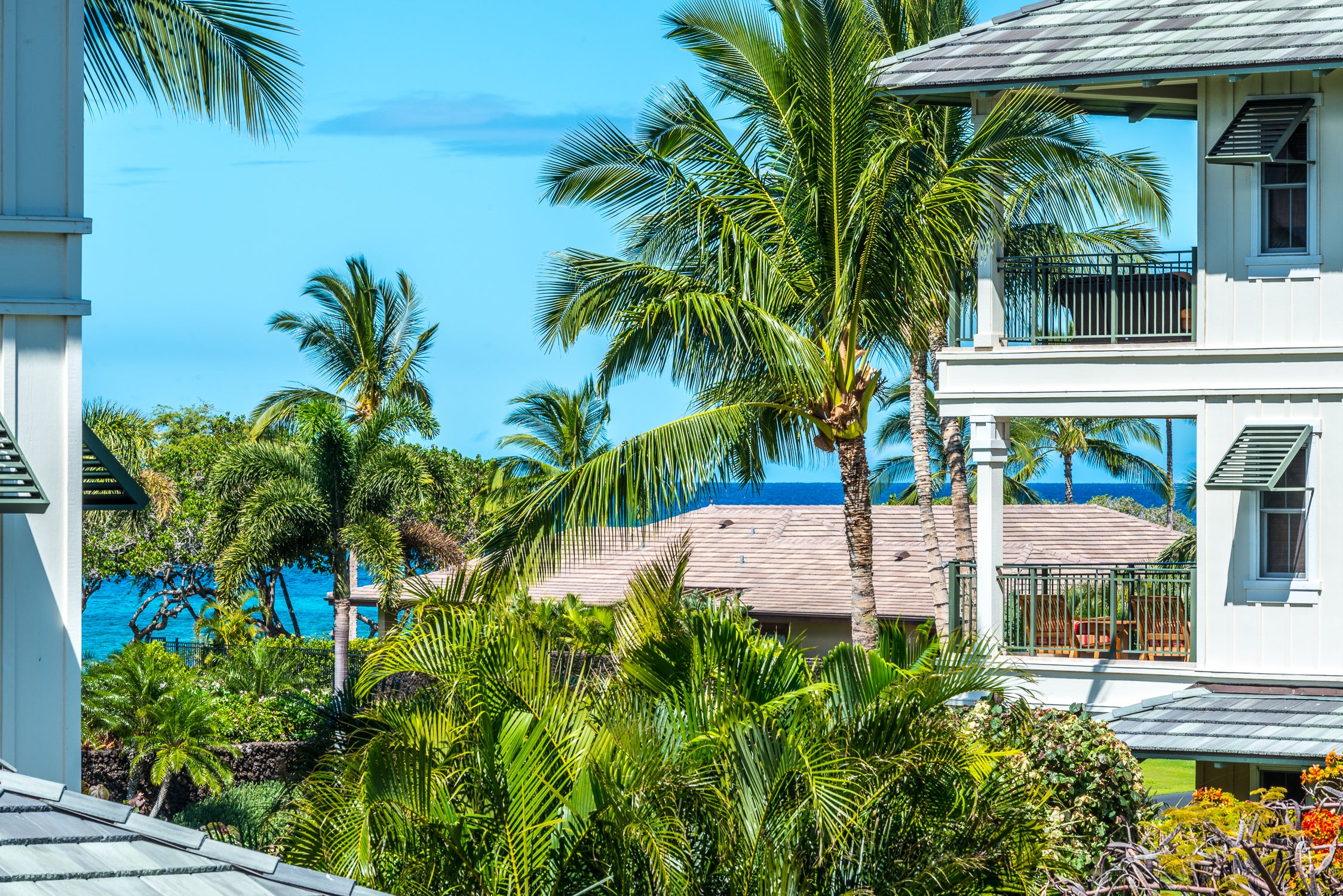 Photo of Listing #724012