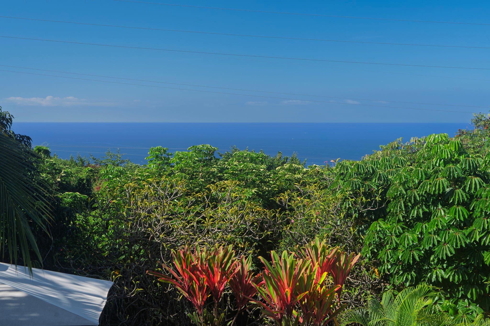 Photo of Listing #725187