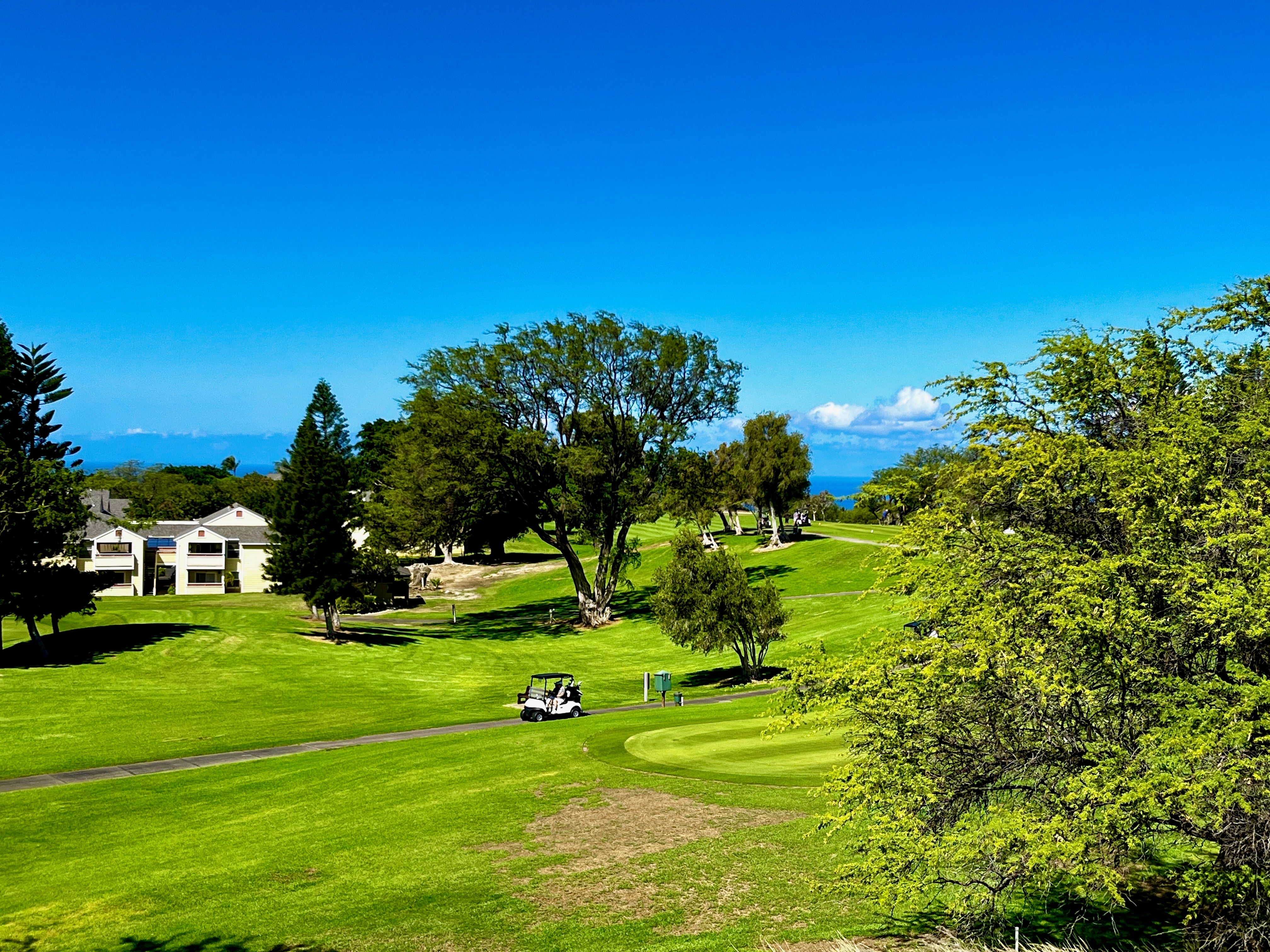 Photo of Listing #725572