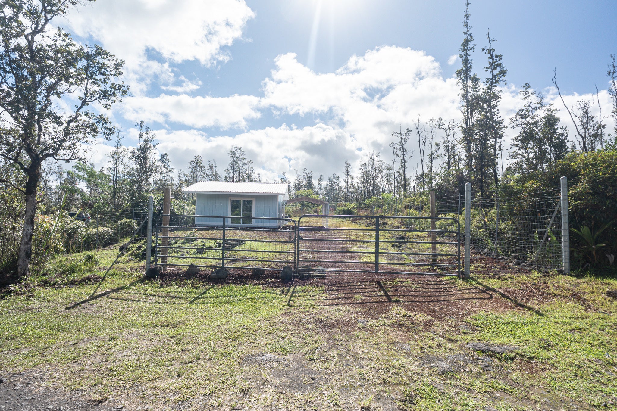 Photo of Listing #725878