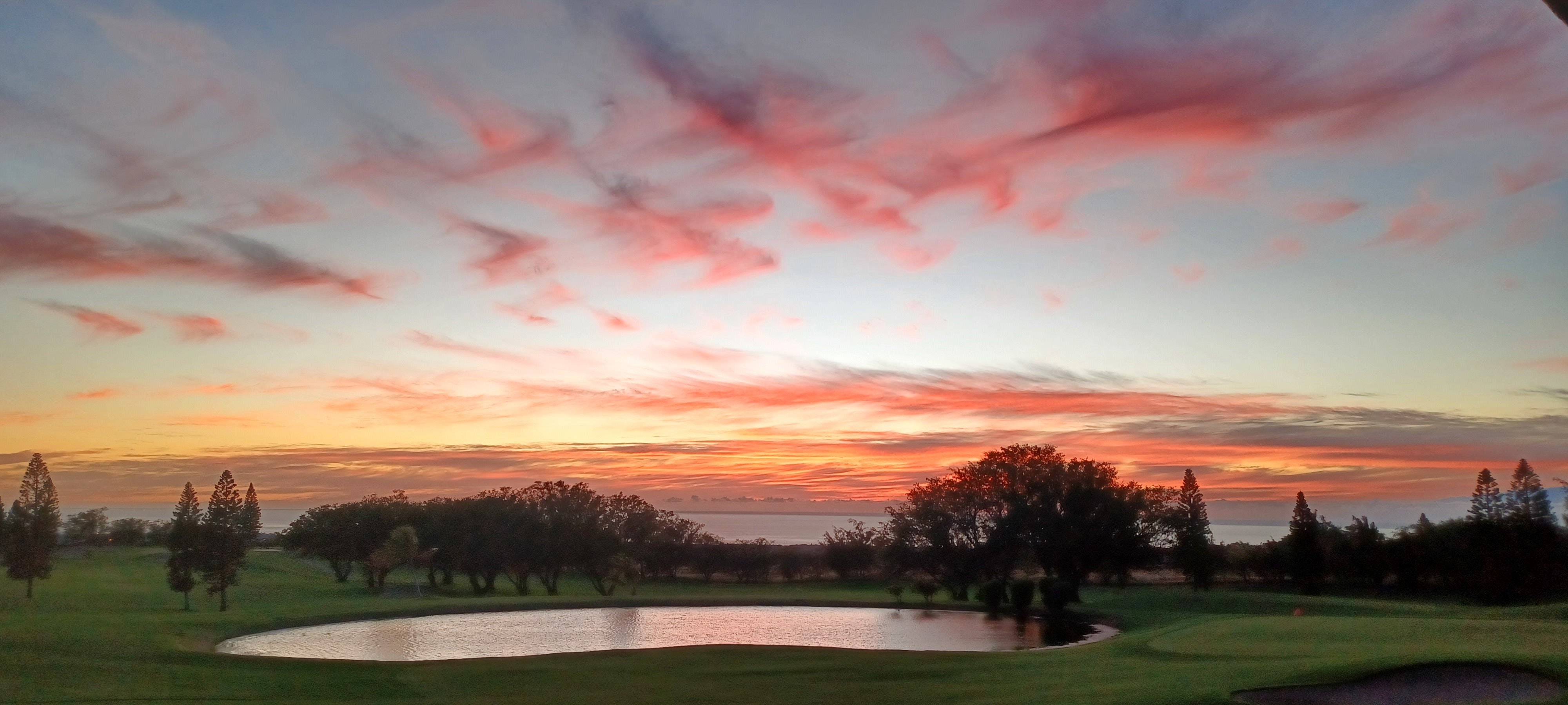 Photo of Listing #725939