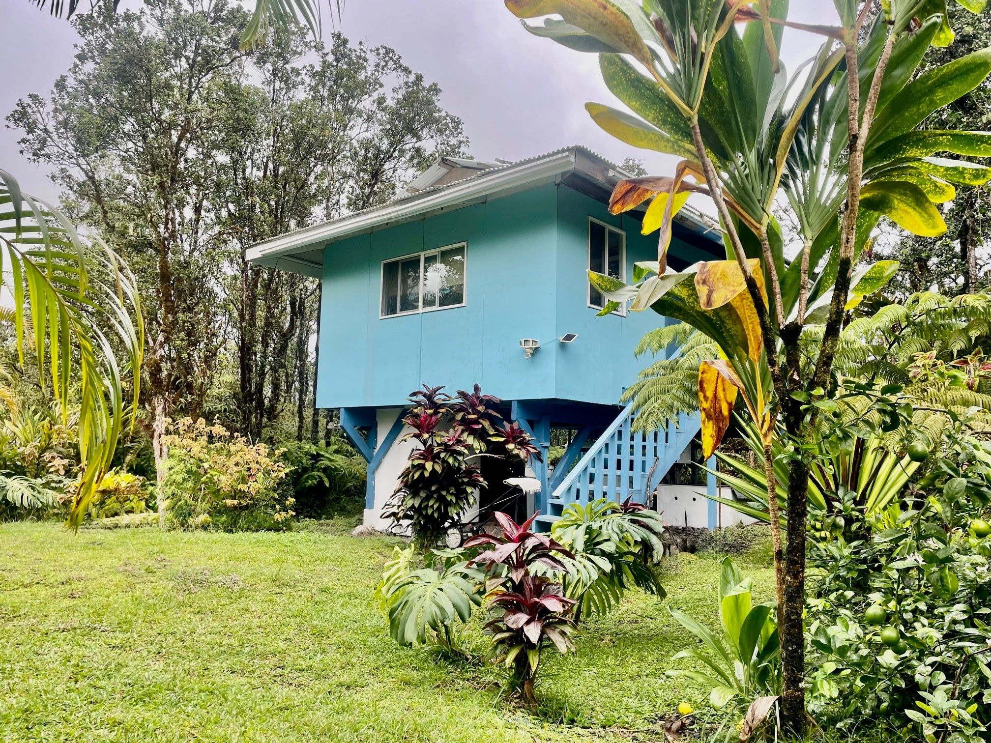 Photo of Listing #726261