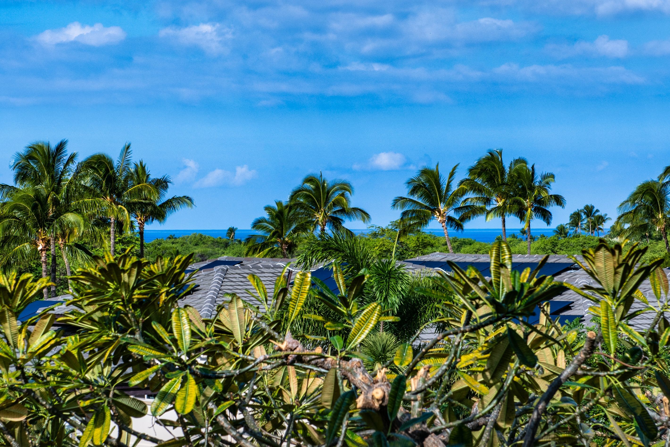 Photo of Listing #726363