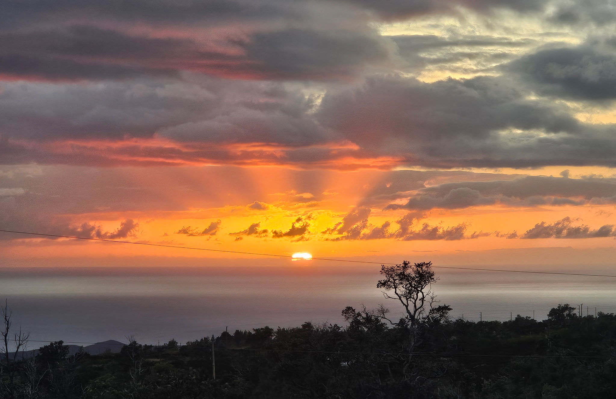 Photo of Listing #726525