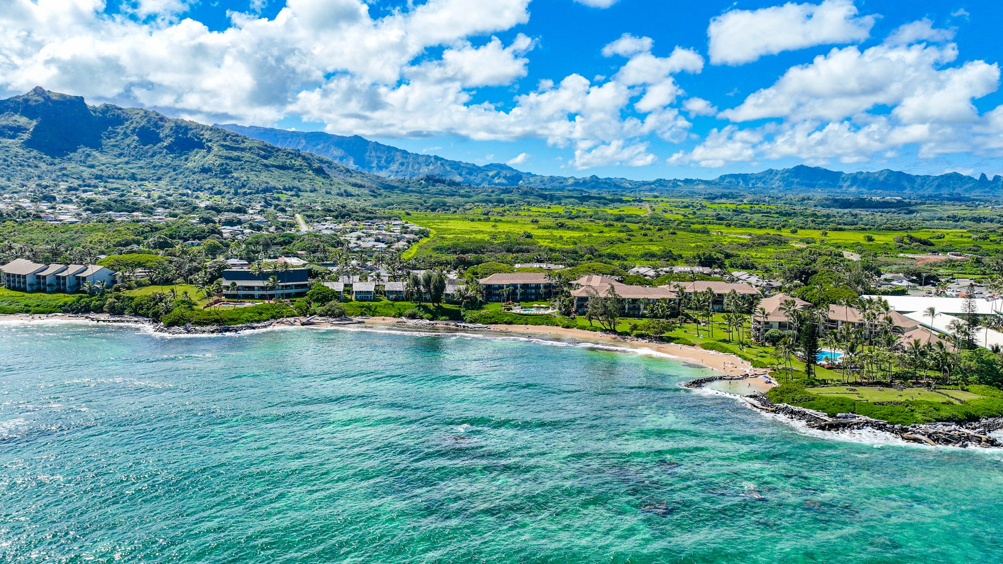 Photo of Listing #726654