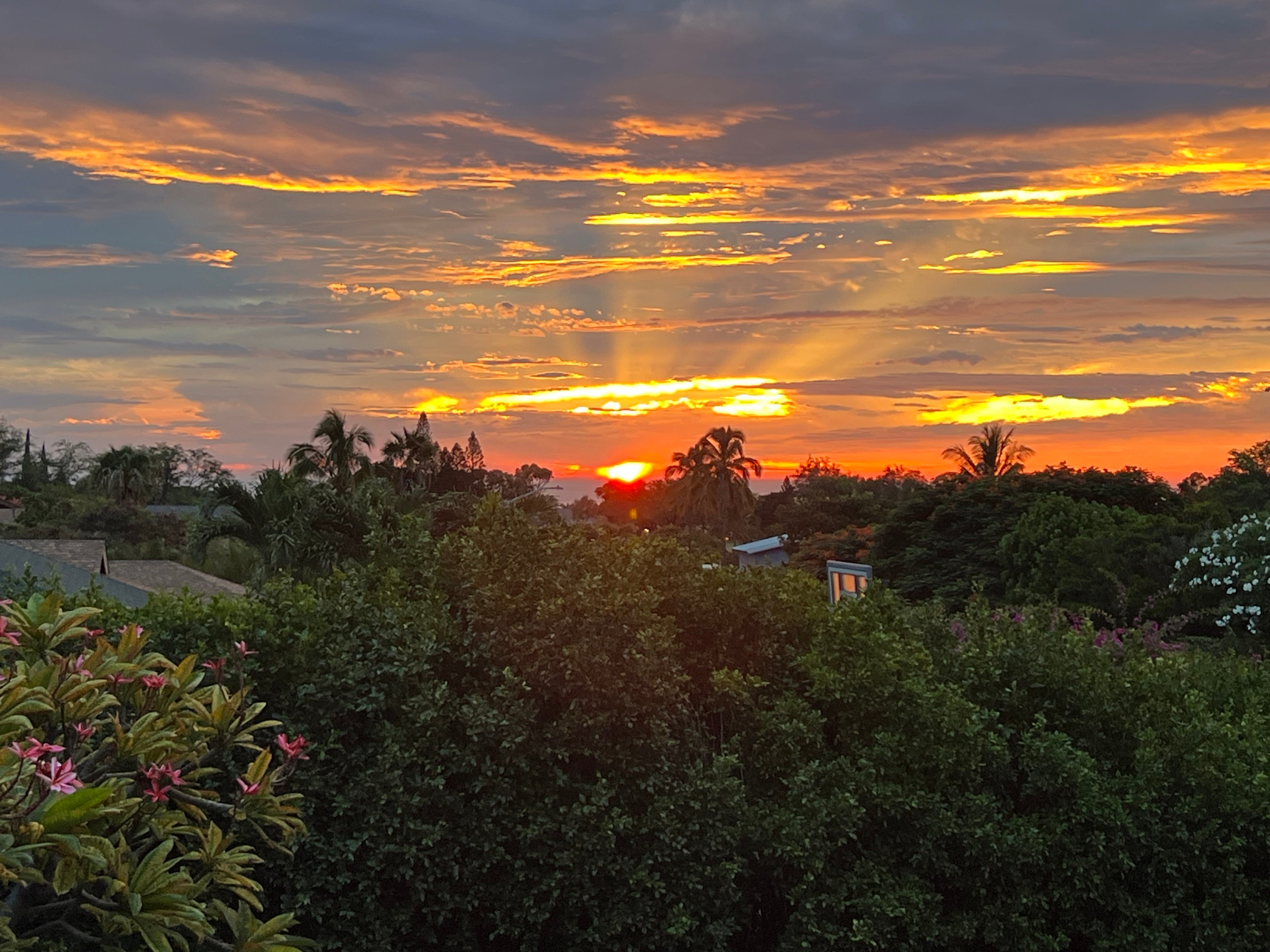 Photo of Listing #726750