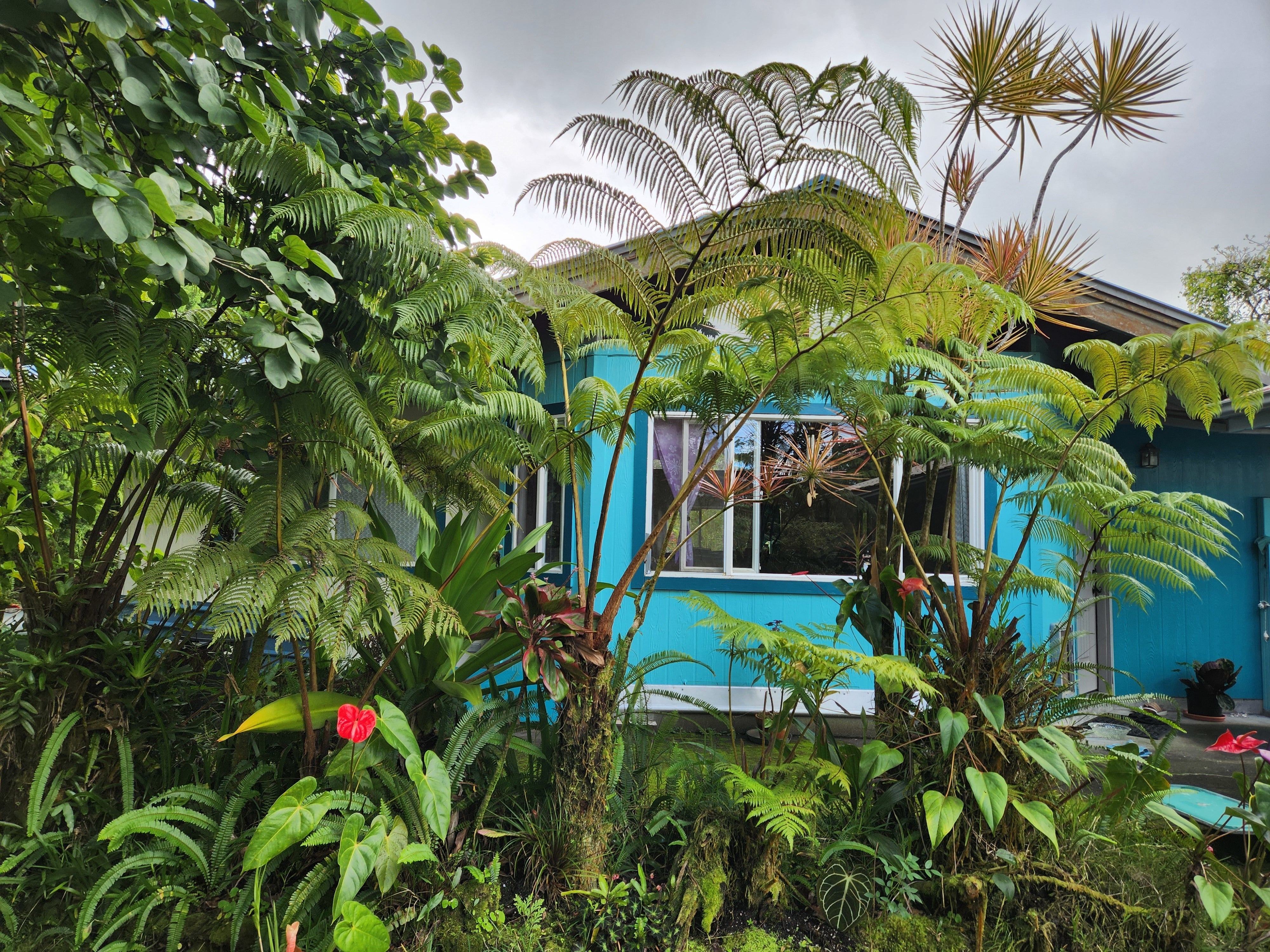 Photo of Listing #726950