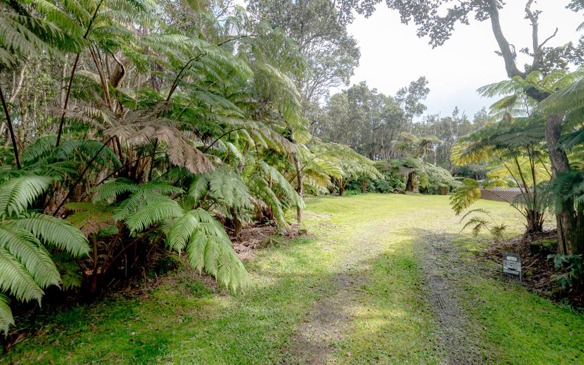 Photo of Listing #727068