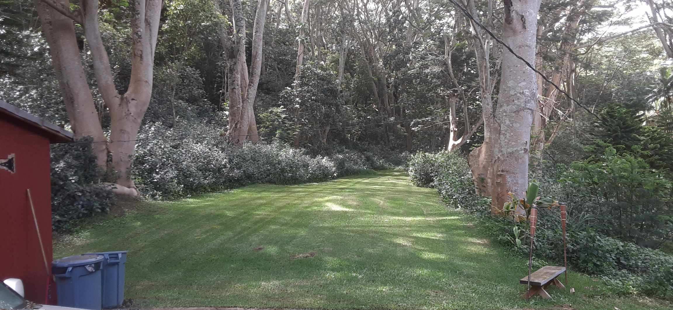 Photo of Listing #727448