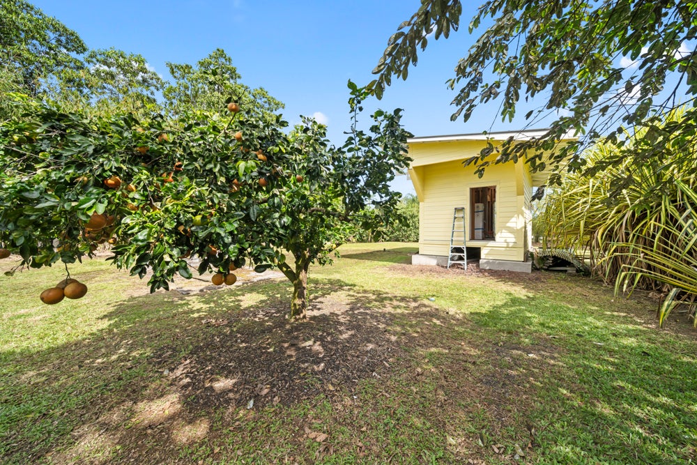 Photo of Listing #727469